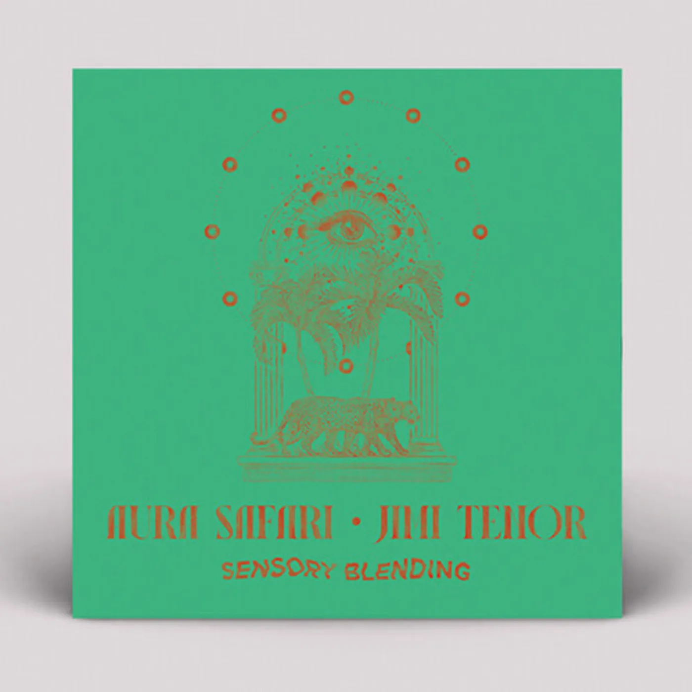 Aura Safari SENSORY BLENDING Vinyl Record