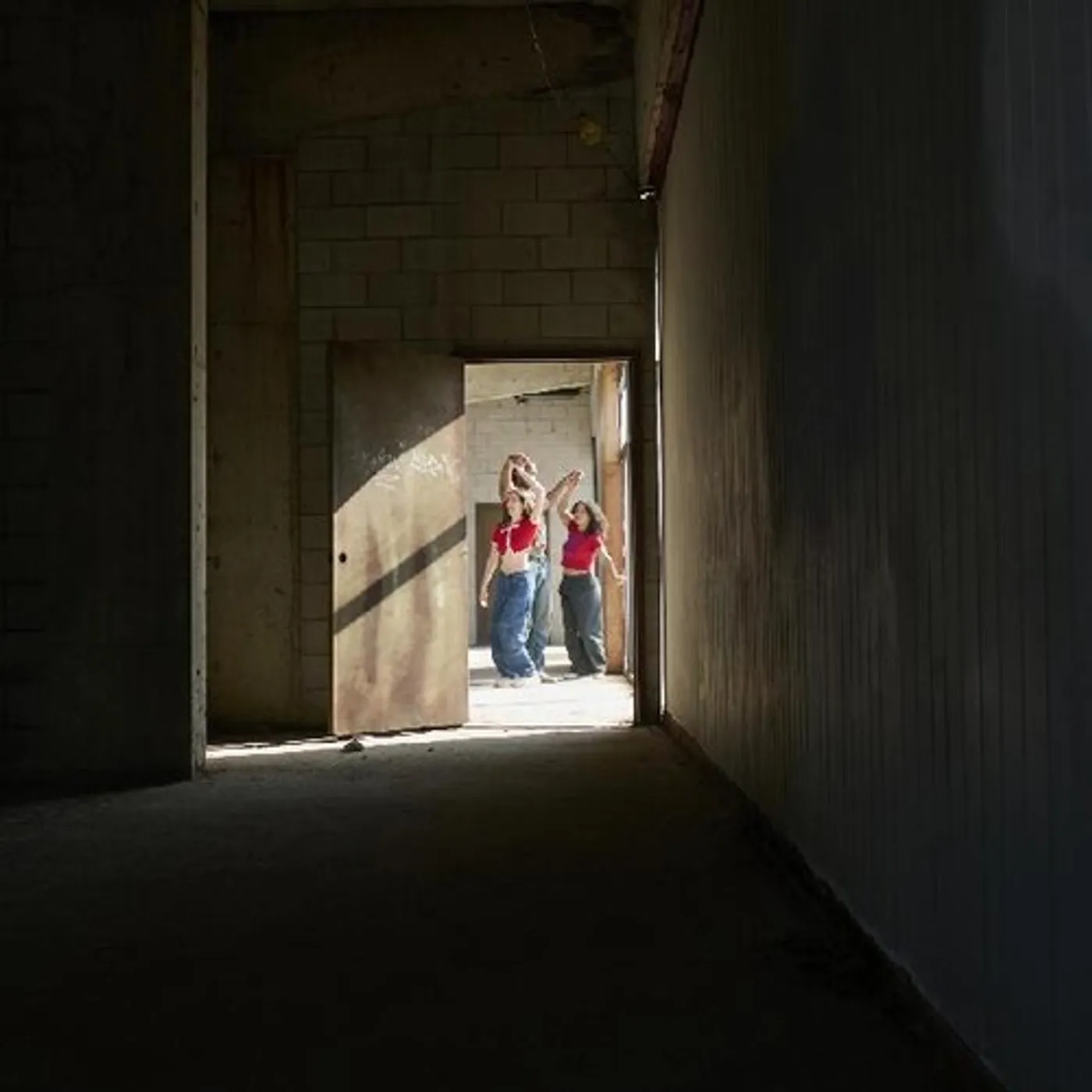 Tiny Habits I DONT HAVE THE HEART + FLICKER Vinyl Record