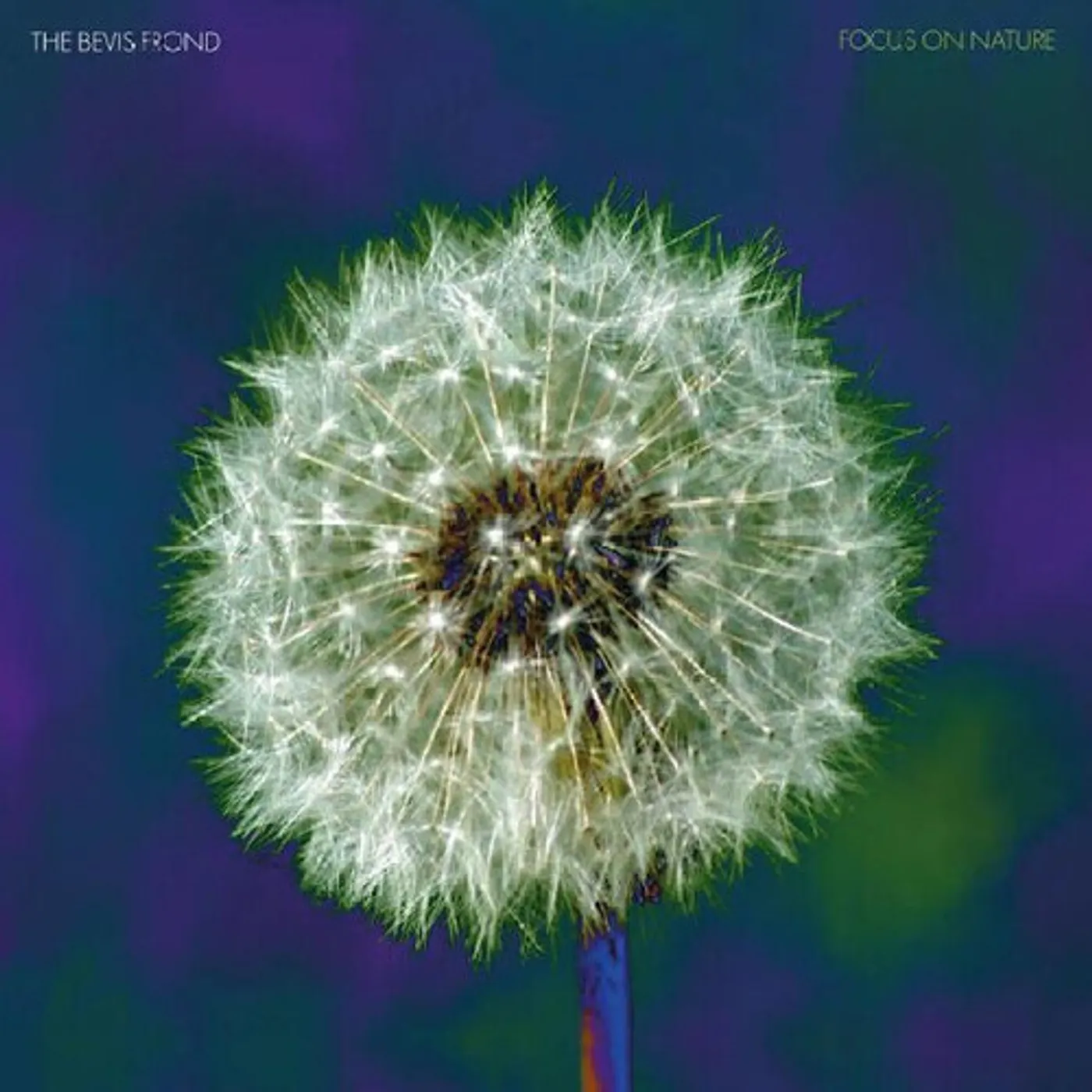 The Bevis Frond FOCUS ON NATURE Vinyl Record