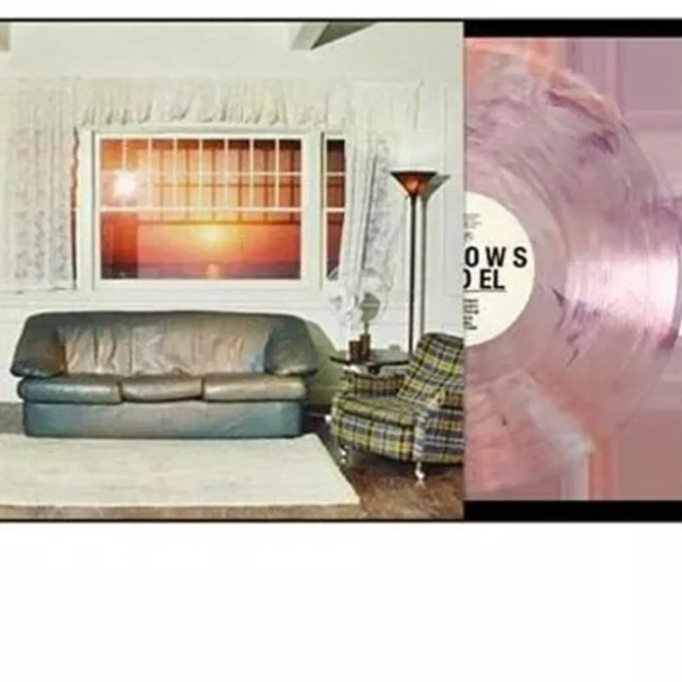 Wallows MODEL Vinyl Record