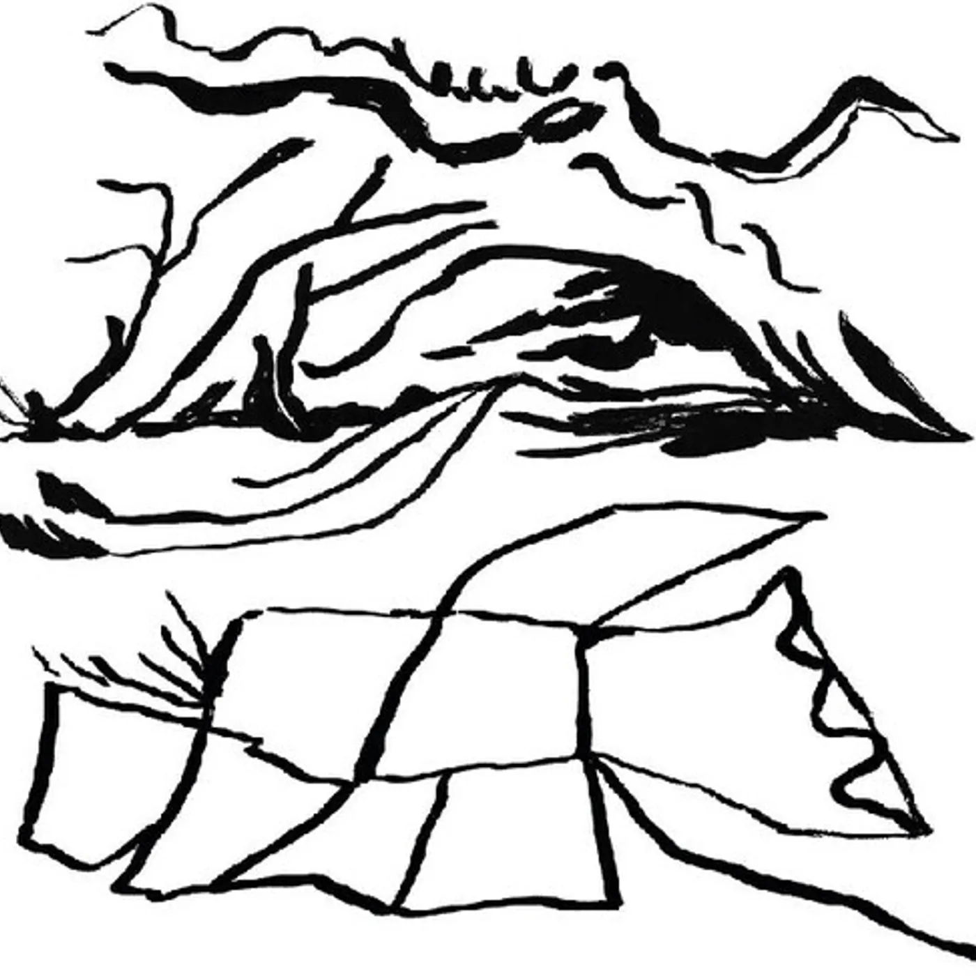 Kiran Leonard Real Home Vinyl Record