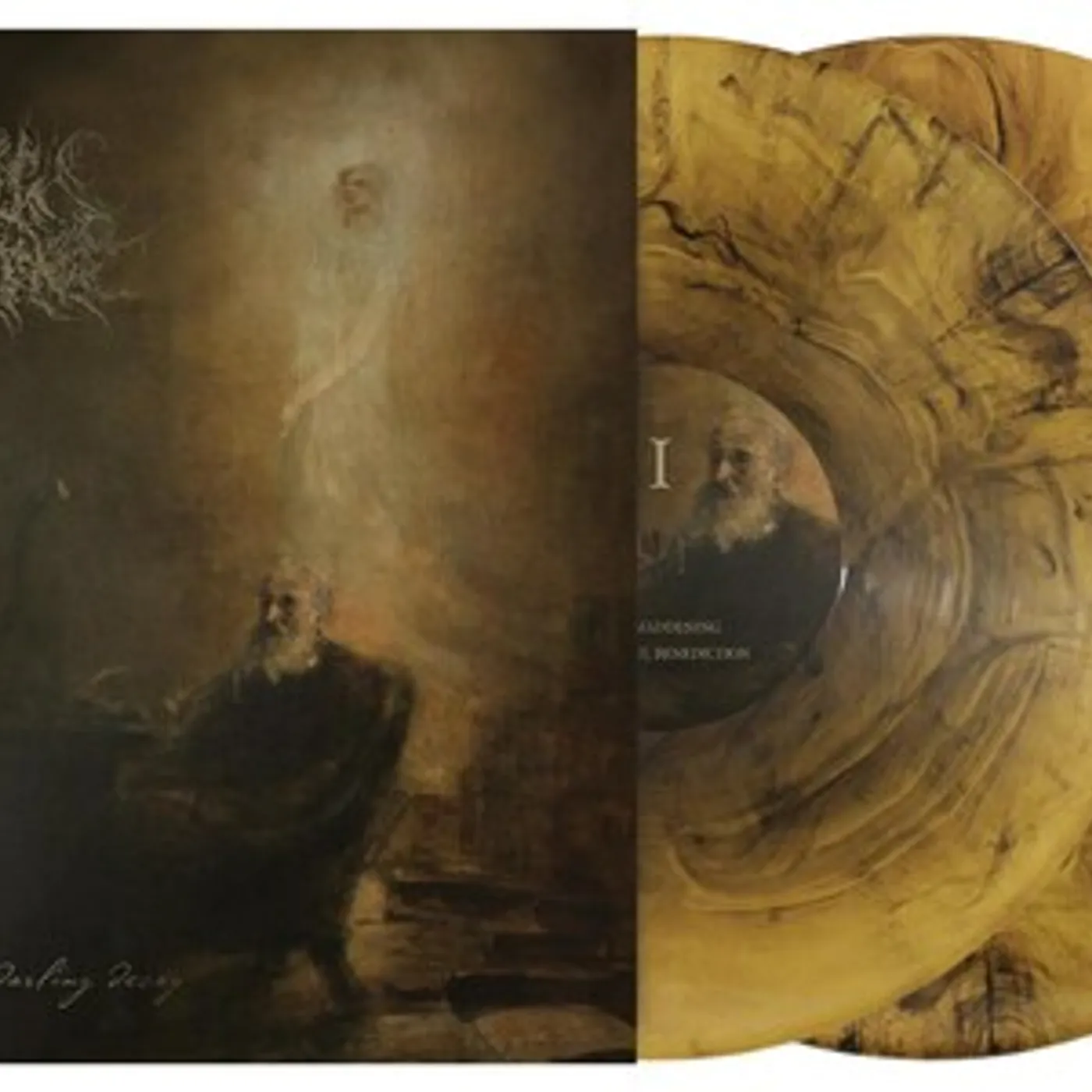 A Wake in Providence WRITE TO YOU MY DARLING DECAY Vinyl Record