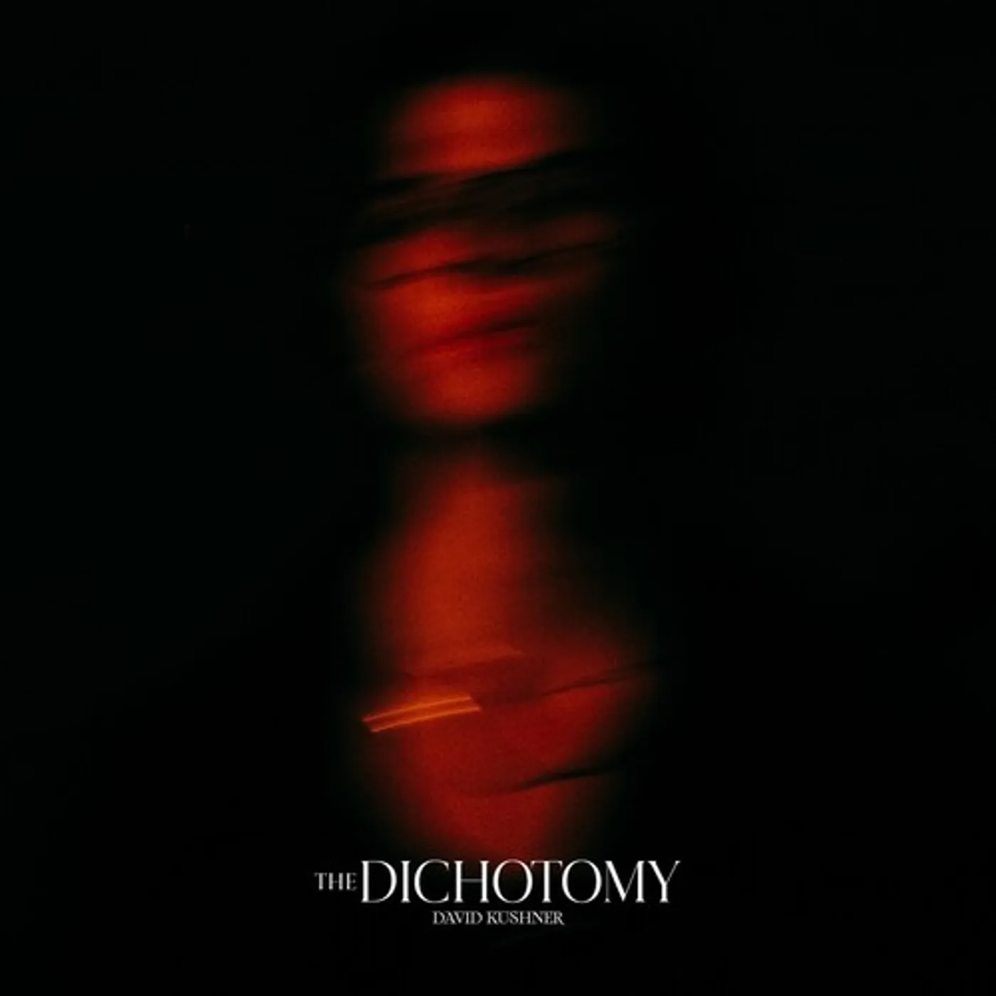 David Kushner DICHOTOMY CD