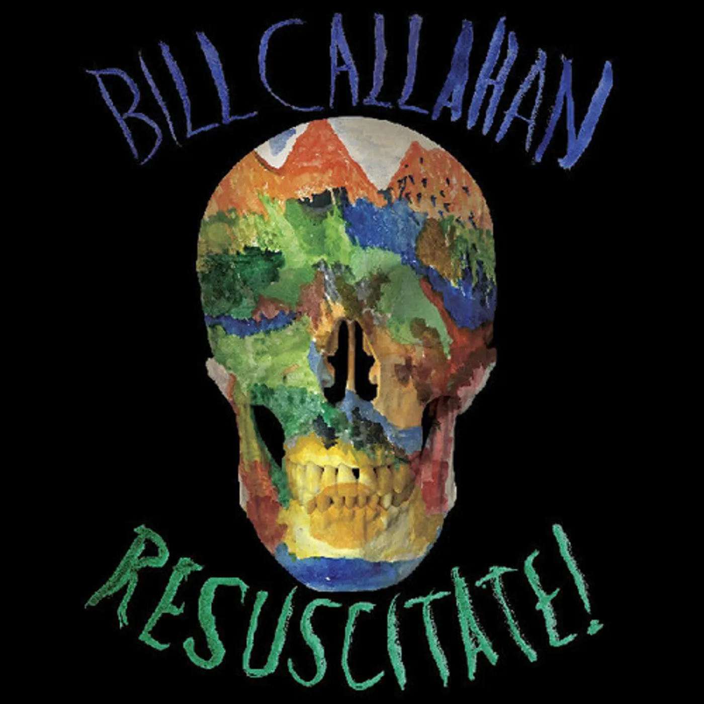 Bill Callahan Resuscitate Vinyl Record