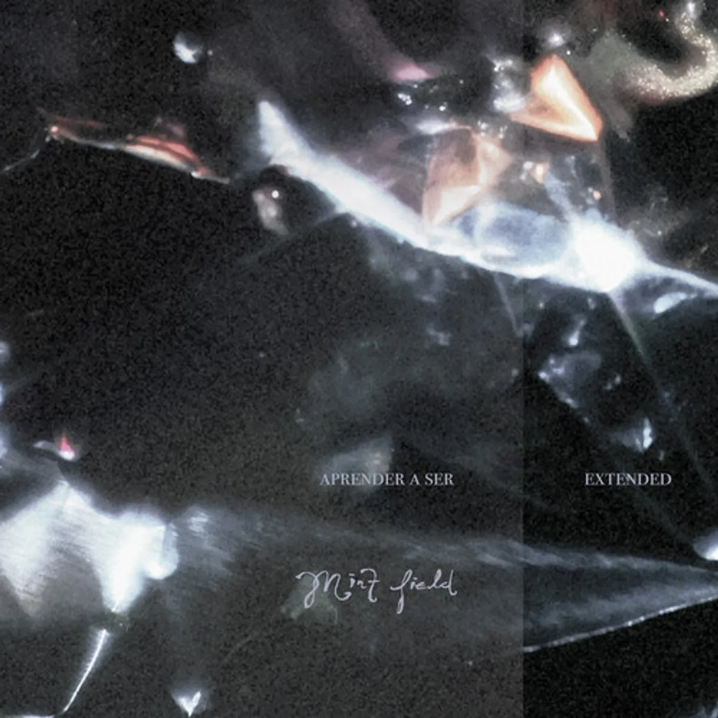 Mint Field APRENDER A SER: EXTENDED Vinyl Record