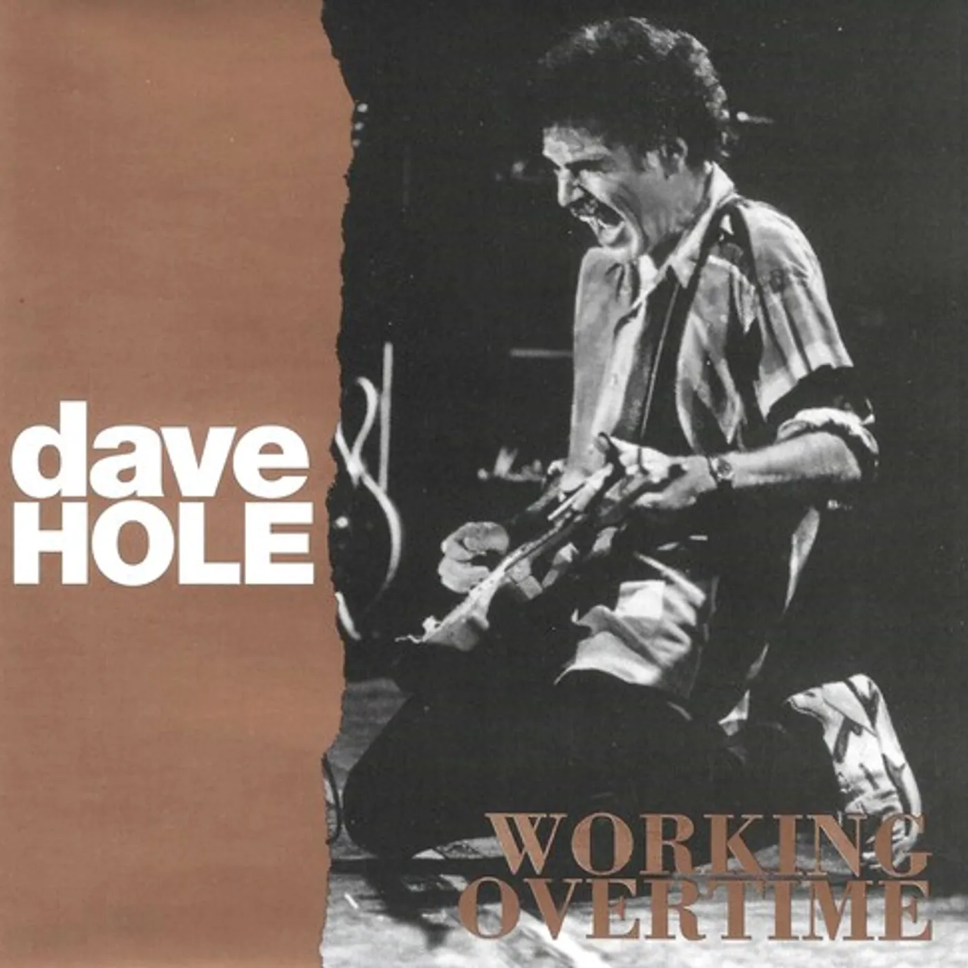 Dave Hole WORKING OVERTIME CD