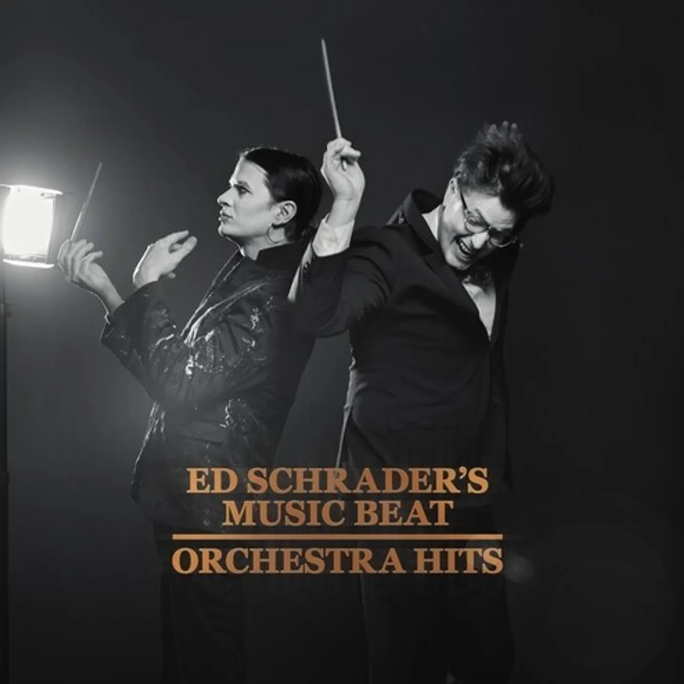 Ed Schrader's Music Beat Orchestra Hits Vinyl Record