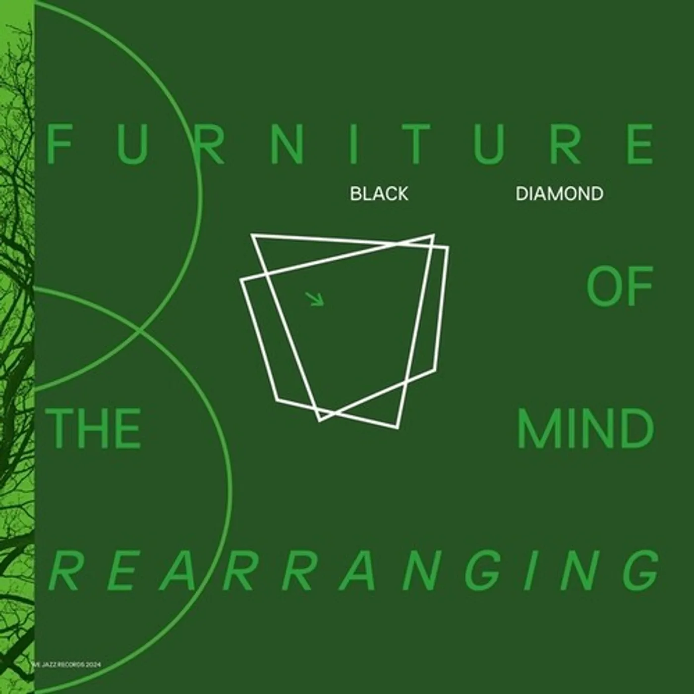 Diamond Black Furniture Of Mind Rearranging Vinyl Record