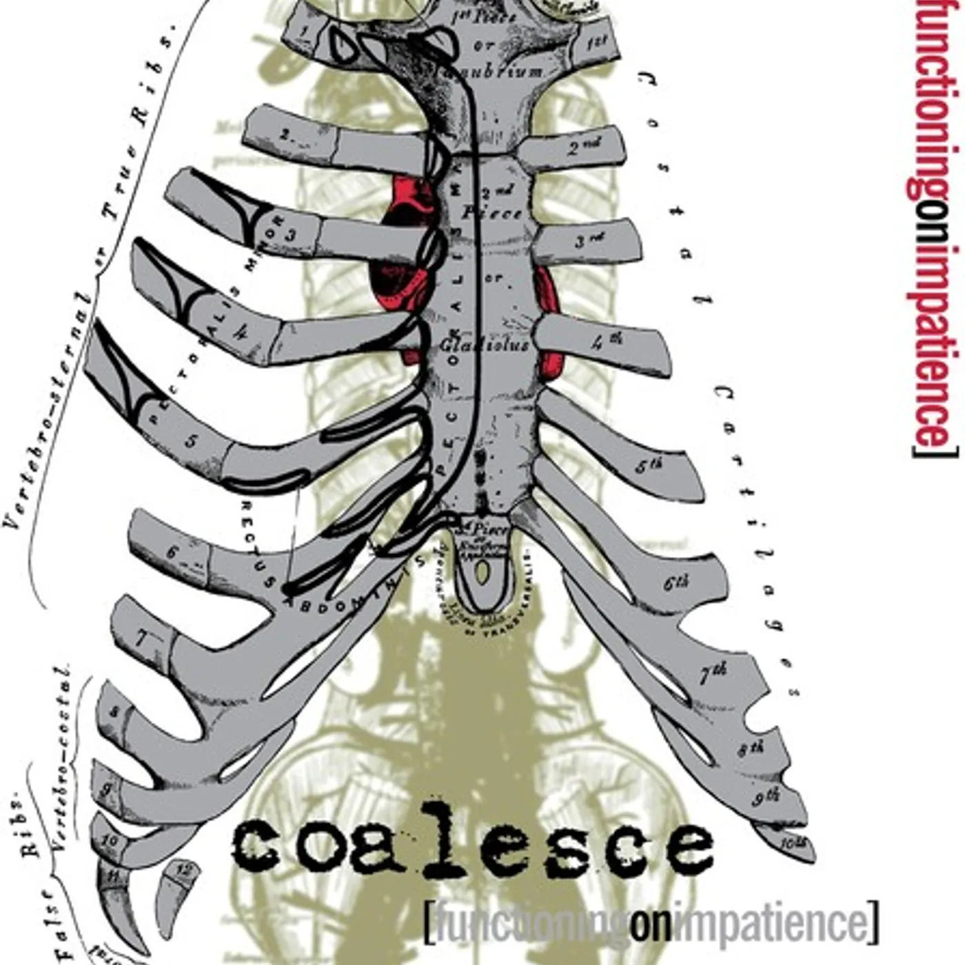 Coalesce FUNCTIONING ON IMPATIENCE CD