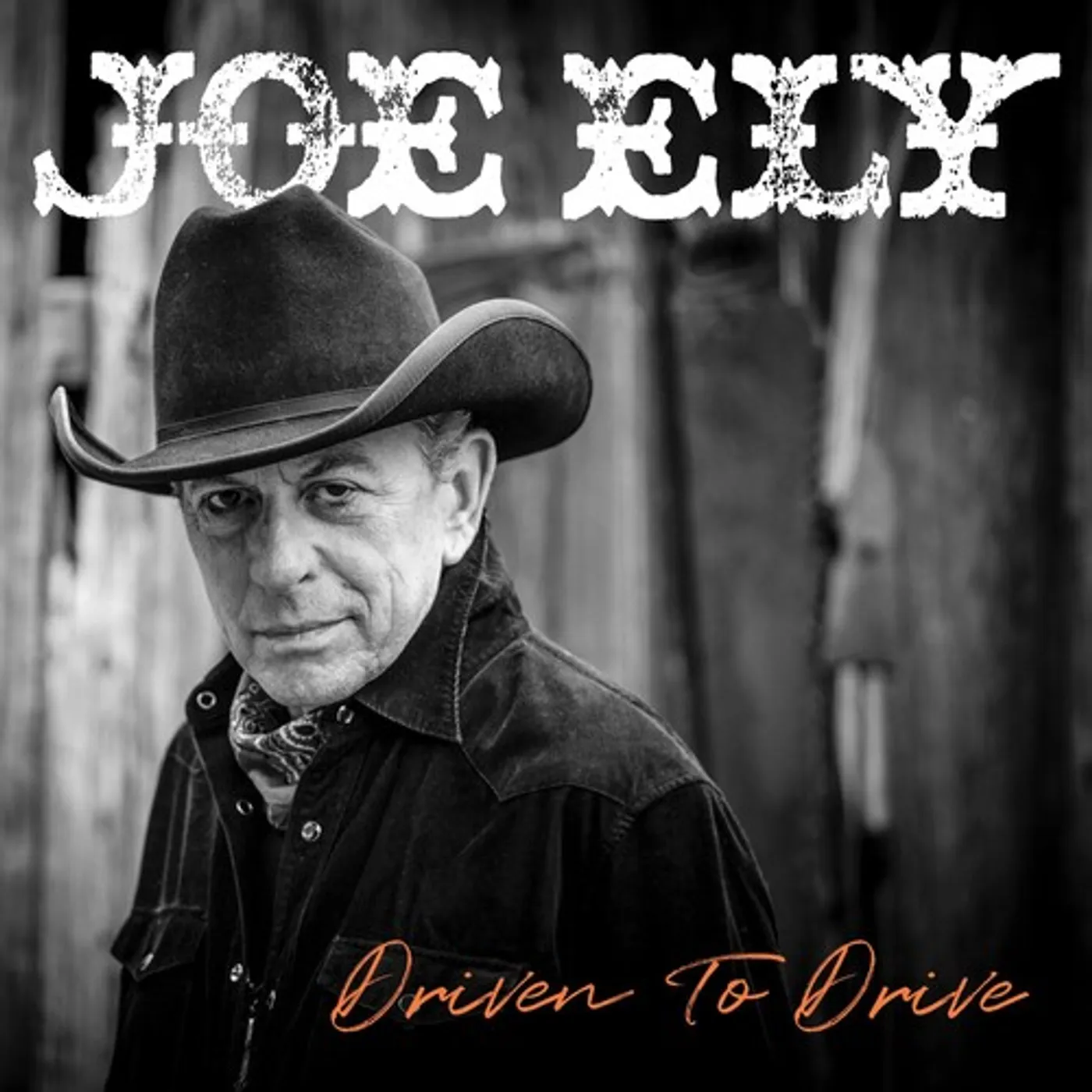 Joe Ely DRIVEN TO DRIVE CD