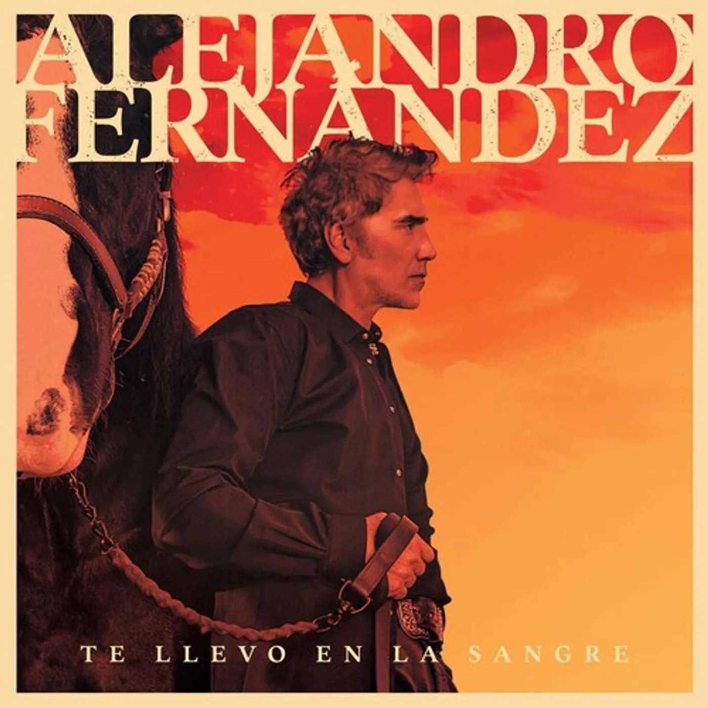 Alejandro Fernandez TE LLEVO EN LA SANGRE CD