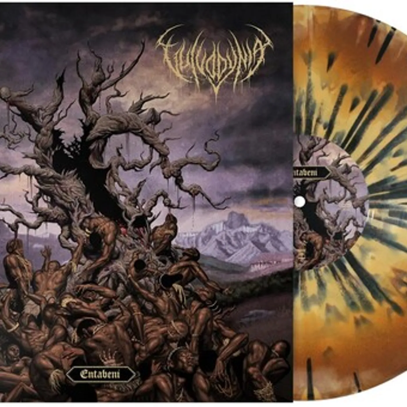 Vulvodynia ENTABENI Vinyl Record