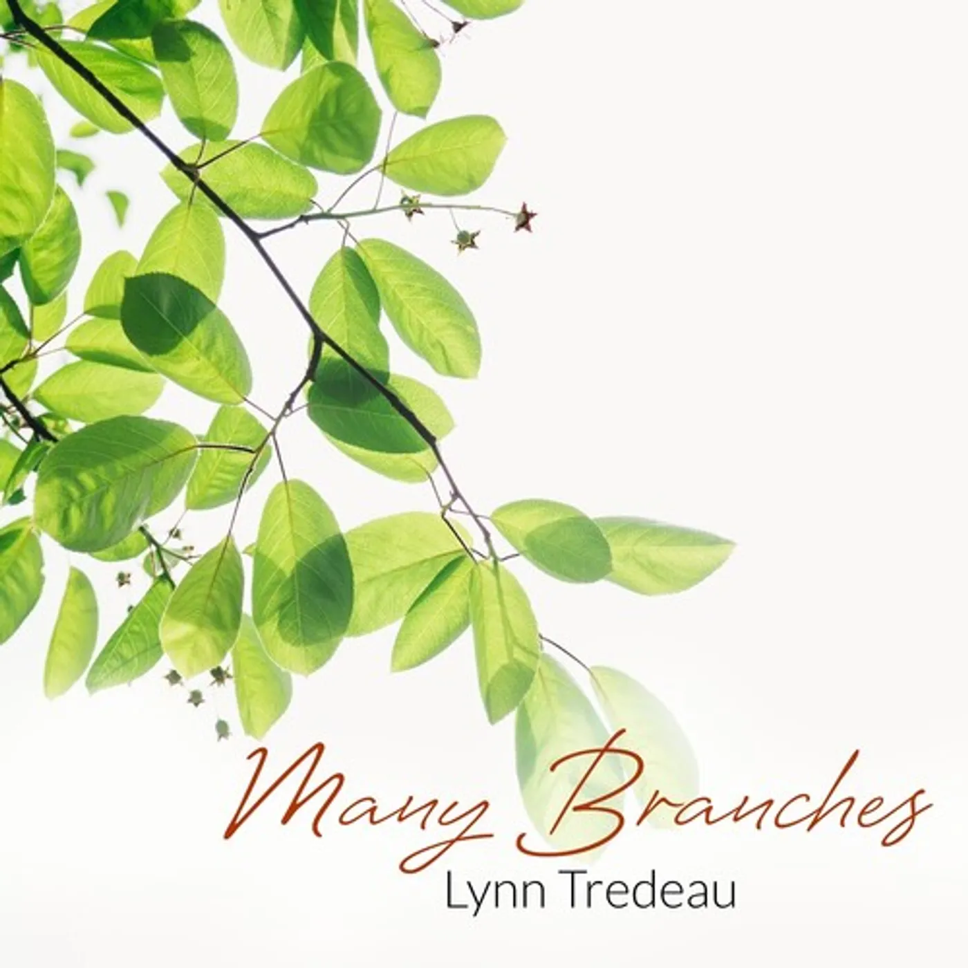 Lynn Tredeau MANY BRANCHES CD