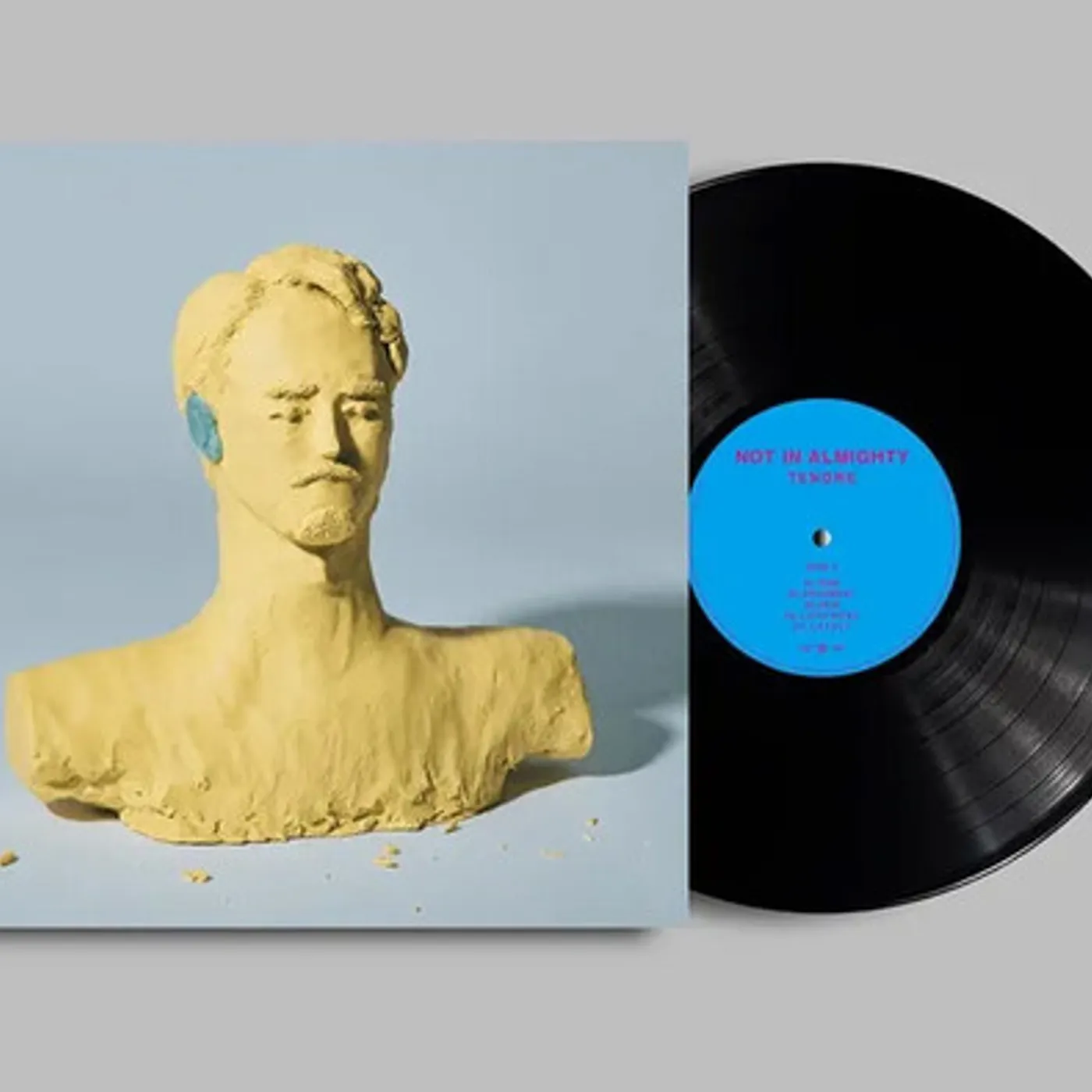 TENDRE NOT IN ALMIGHTY Vinyl Record