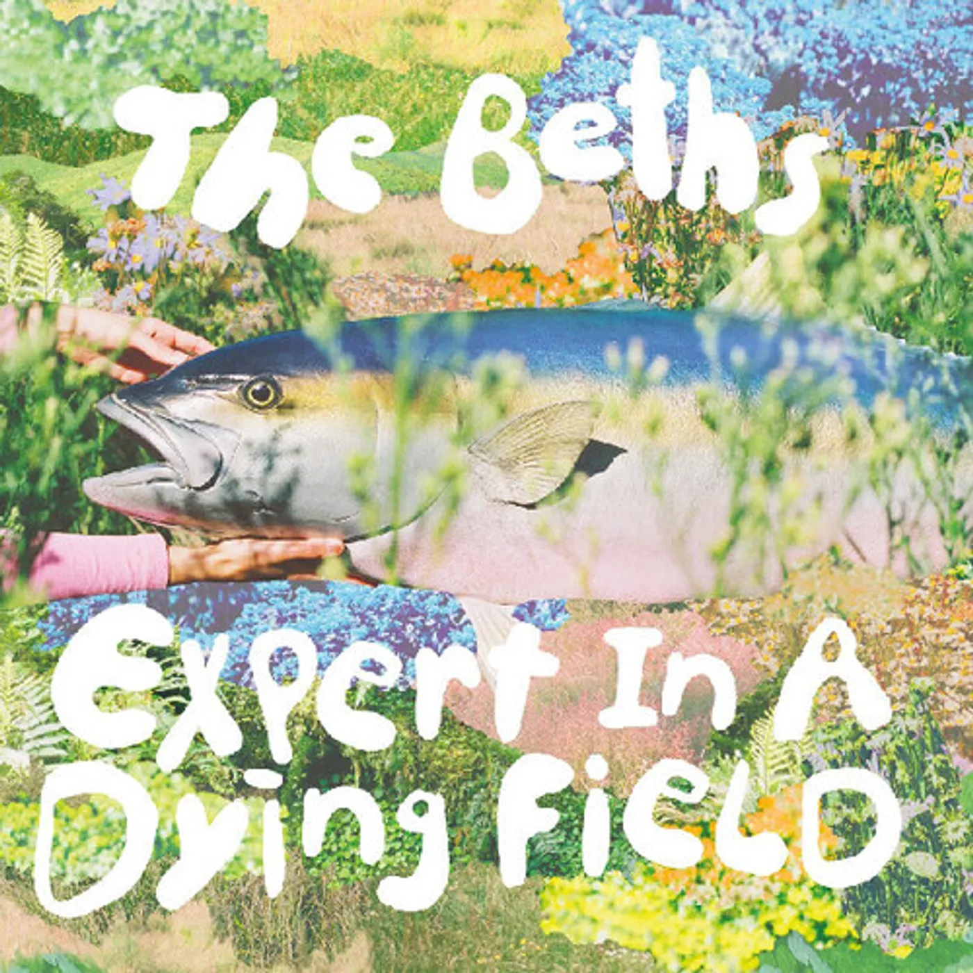 The Beths Expert In A Dying Field (Silver) Vinyl Record