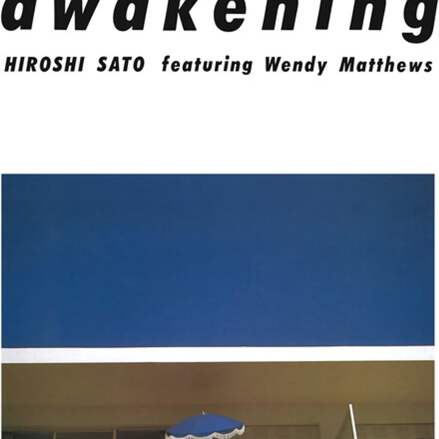 Hiroshi Sato AWAKENING Vinyl Record
