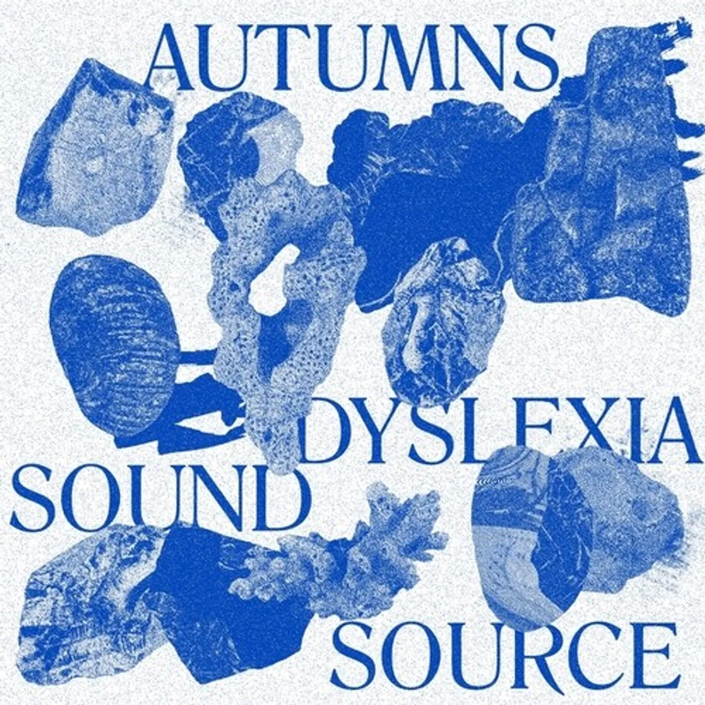 Autumns DYSLEXIA SOUND SOURCE Vinyl Record