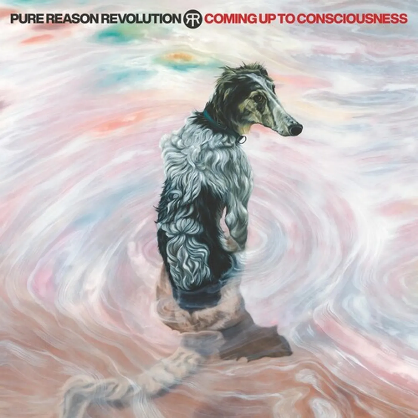 Pure Reason Revolution COMING UP TO CONSCIOUSNESS CD