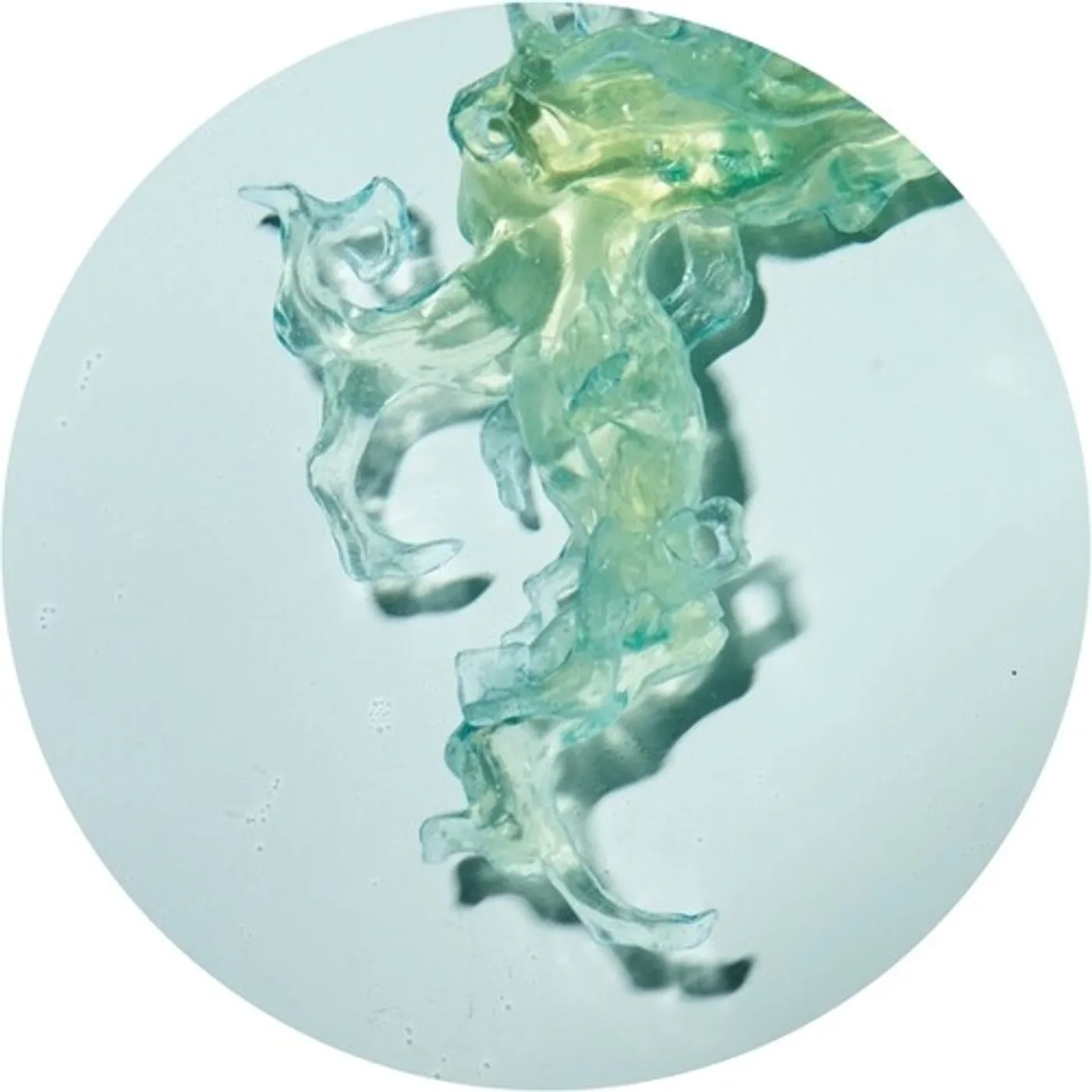 Altone INVINCIBLE NATURE Vinyl Record