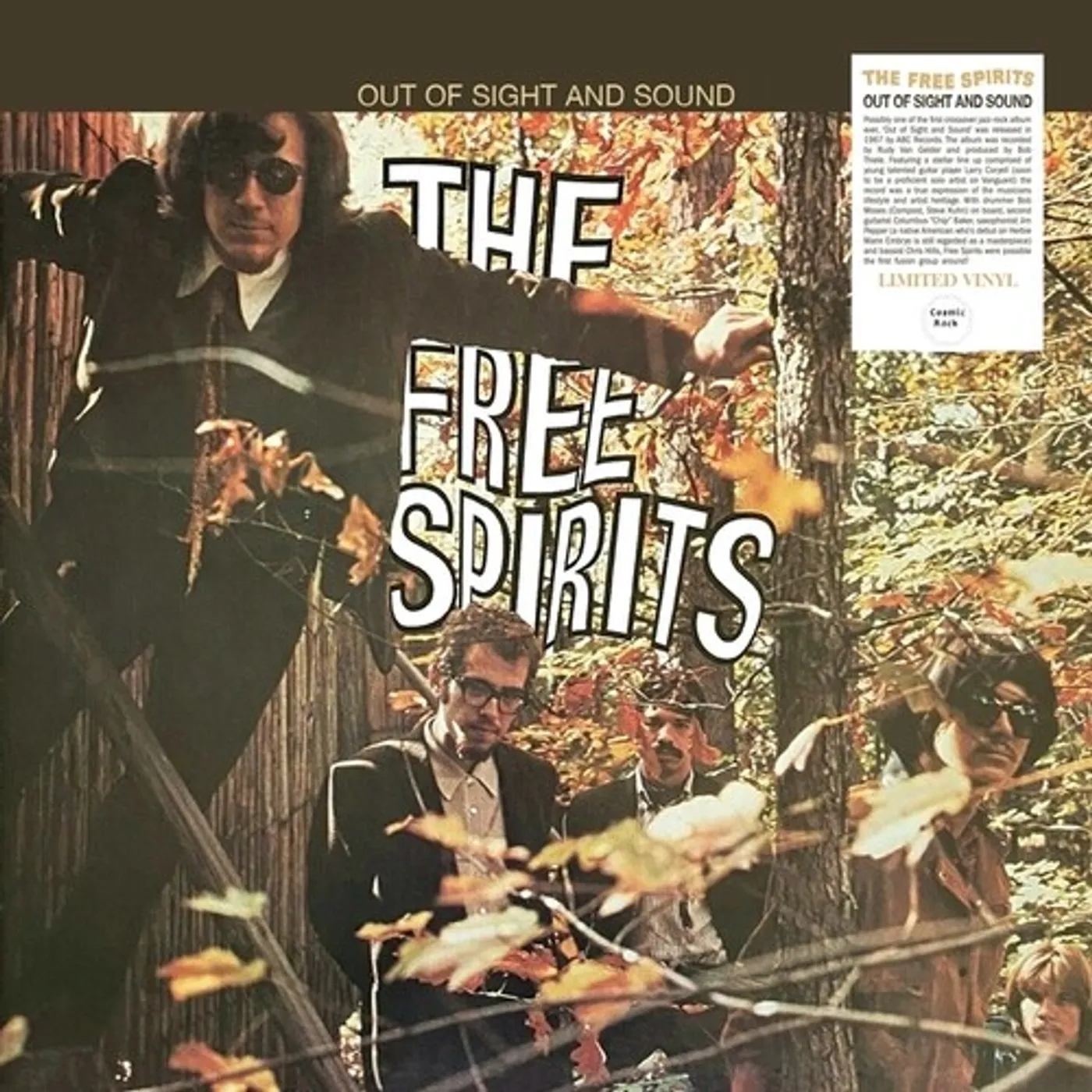 The Free Spirits OUT OF SIGHT & SOUND Vinyl Record