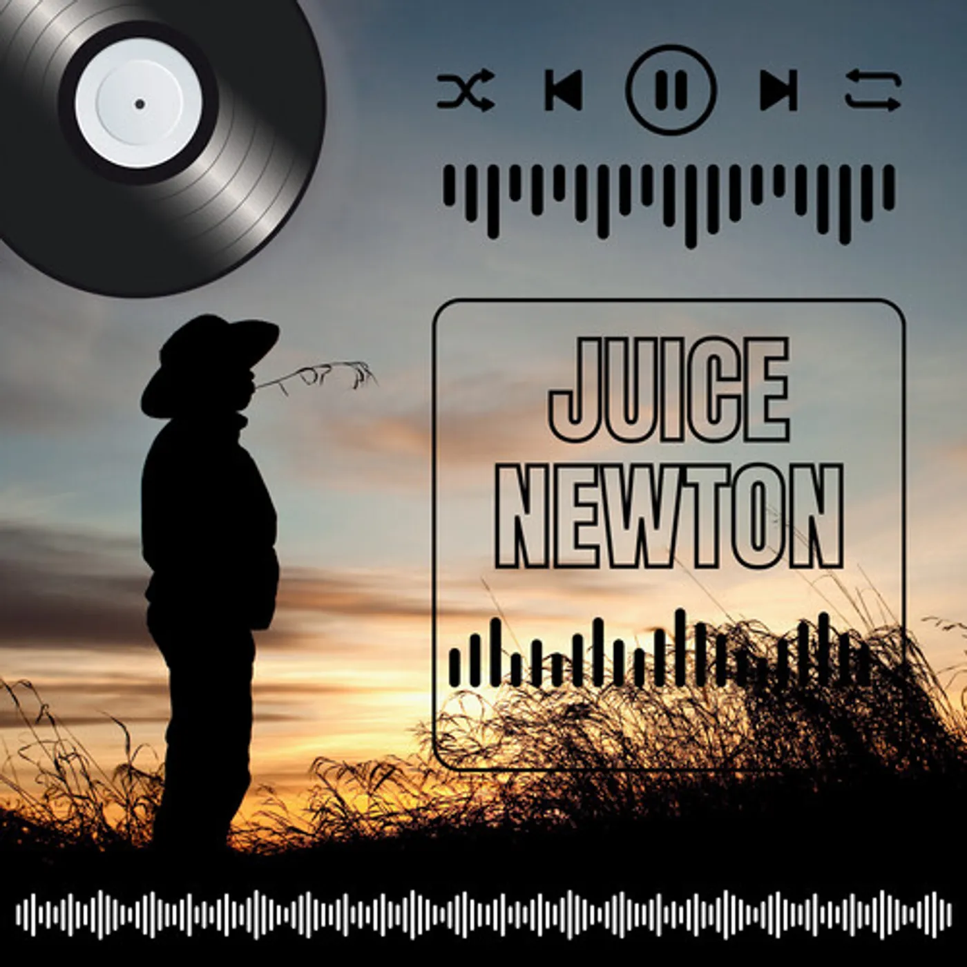 JUICE NEWTON'S GREATEST HITS CD