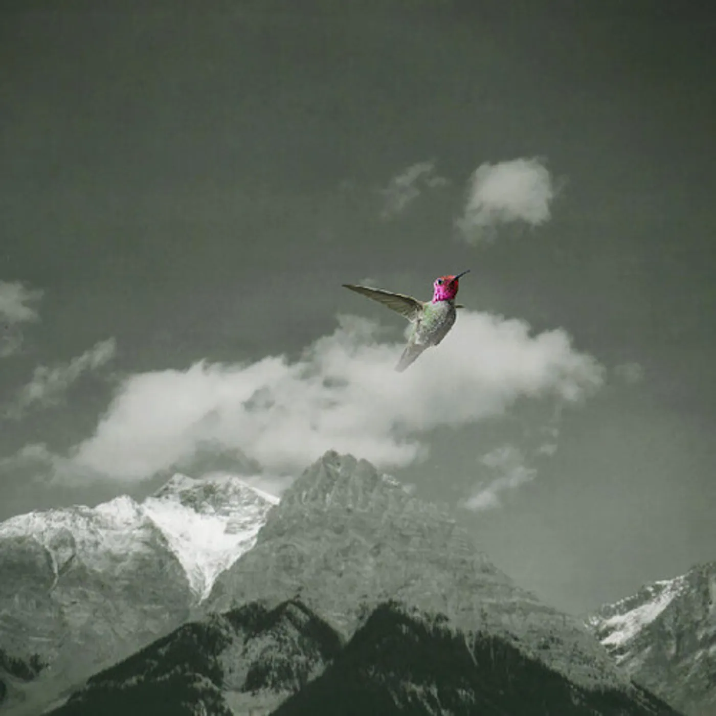 Bardo Pond MELT AWAY Vinyl Record