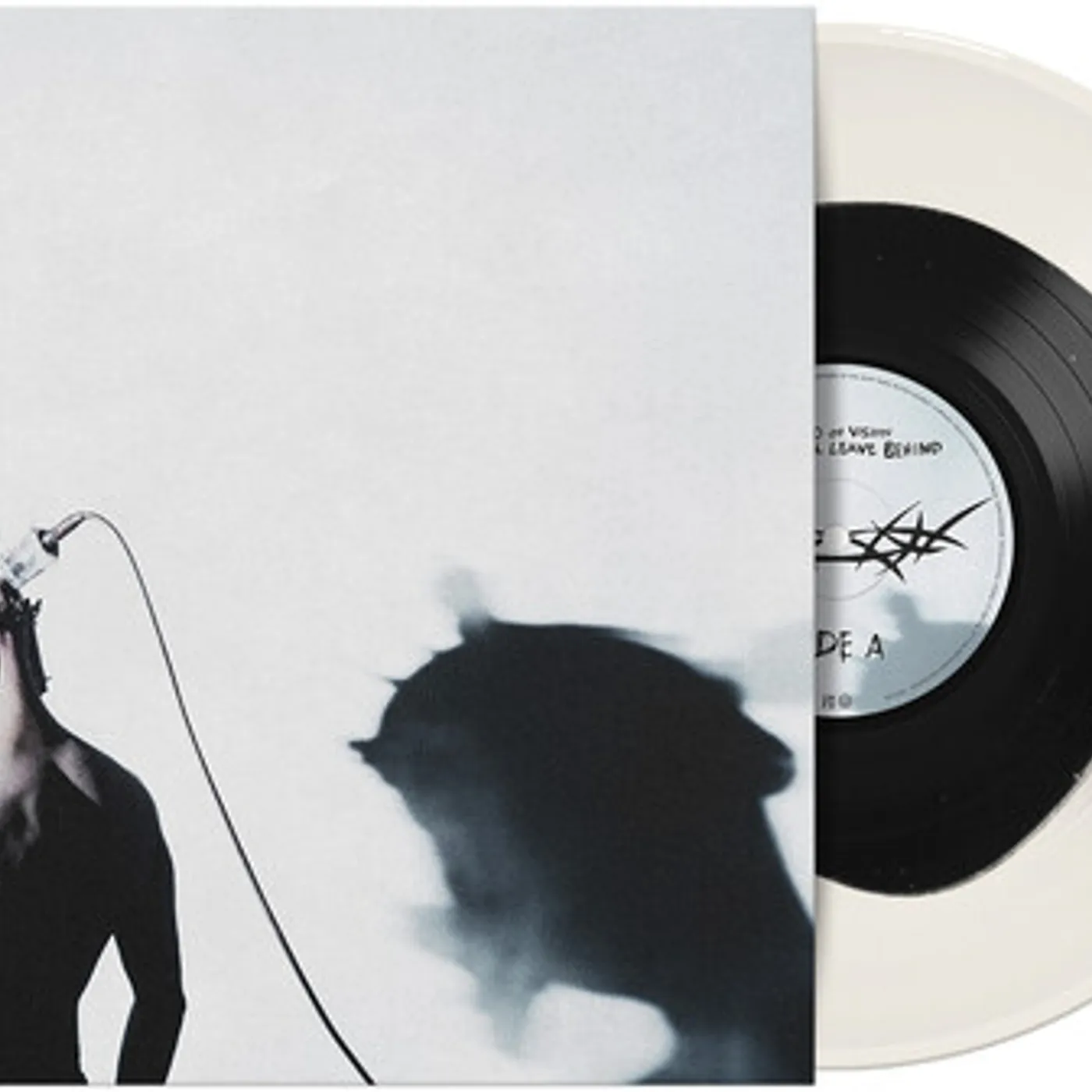 Void Of Vision WHAT I'LL LEAVE BEHIND Vinyl Record