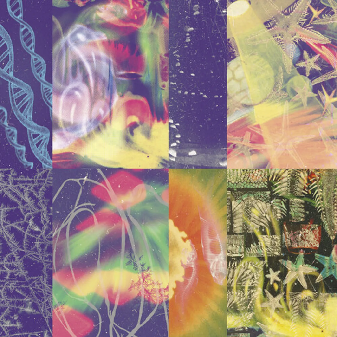 Nap Eyes NEON GATE CD