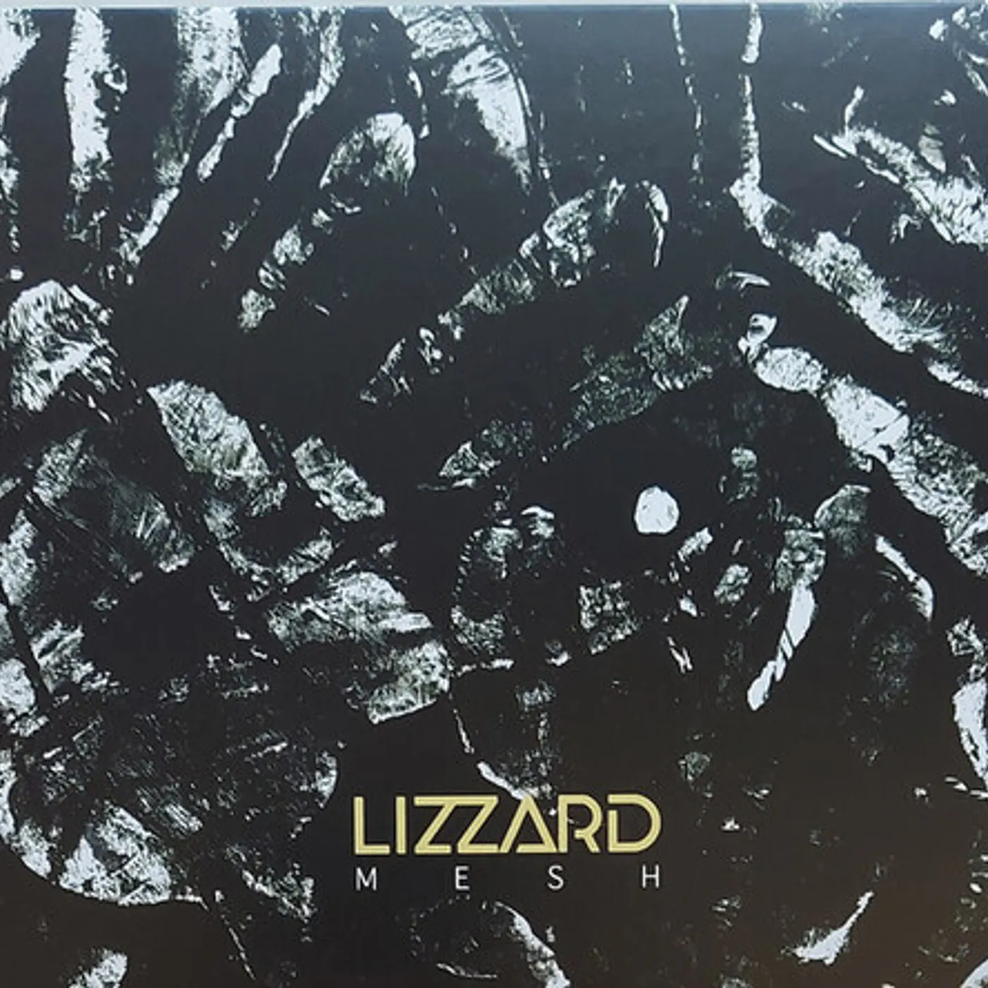 Lizzard MESH CD