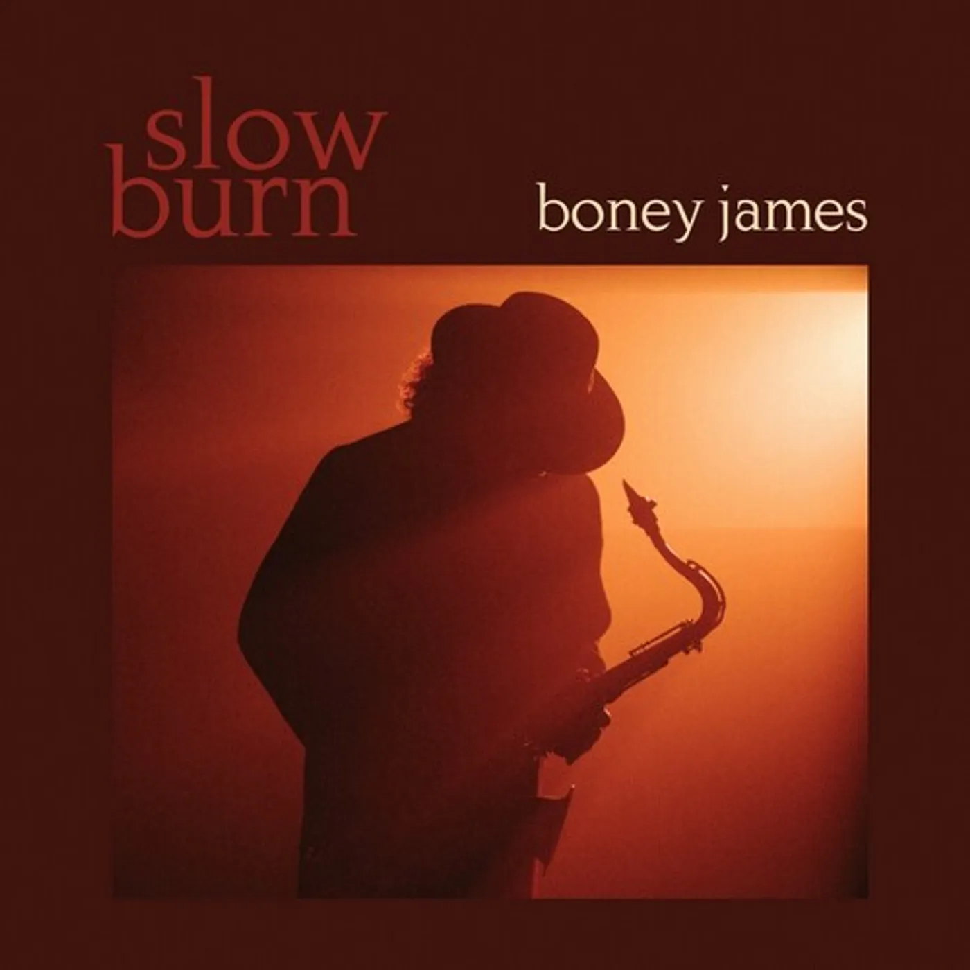 Boney James SLOW BURN CD