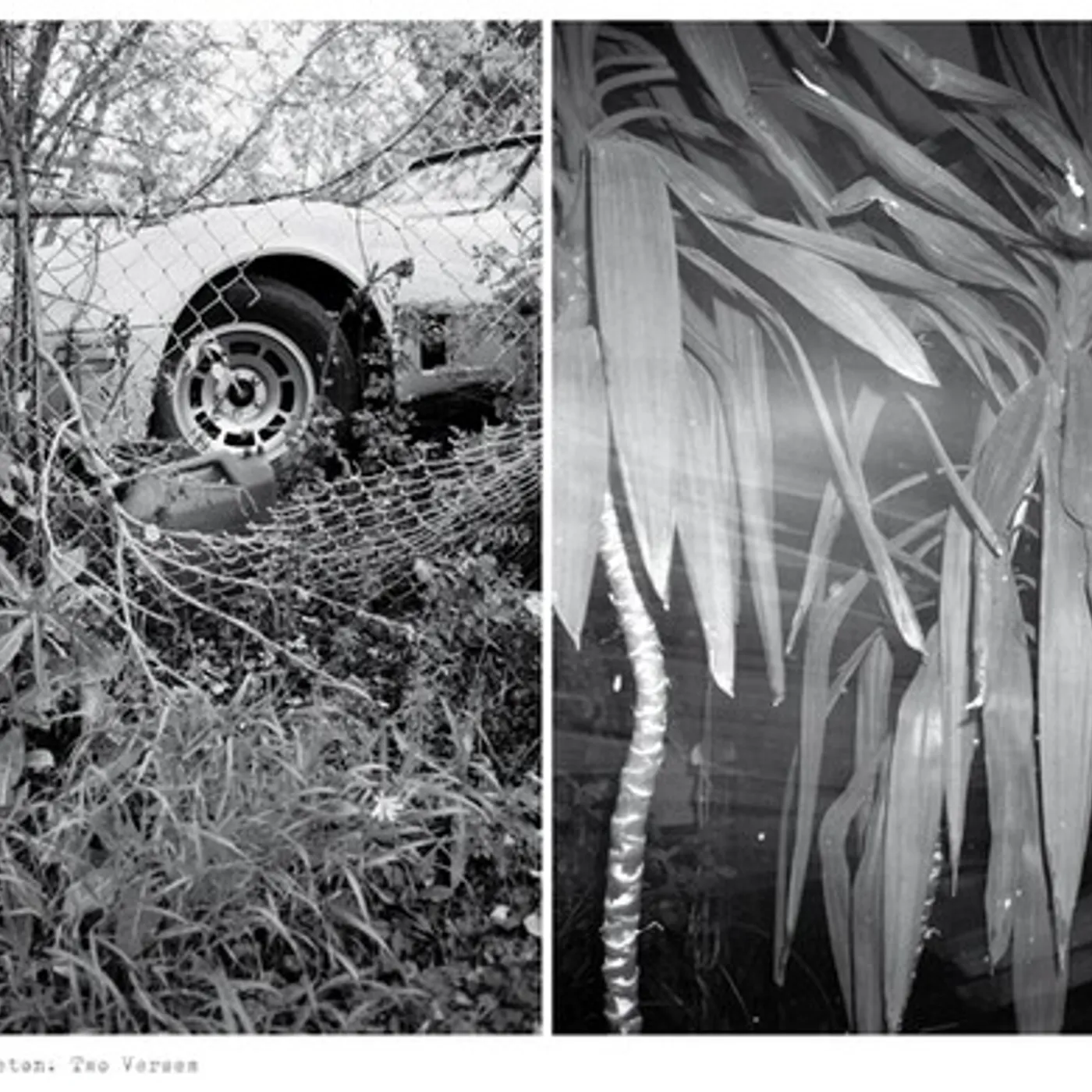 Mark Templeton TWO VERSES Vinyl Record