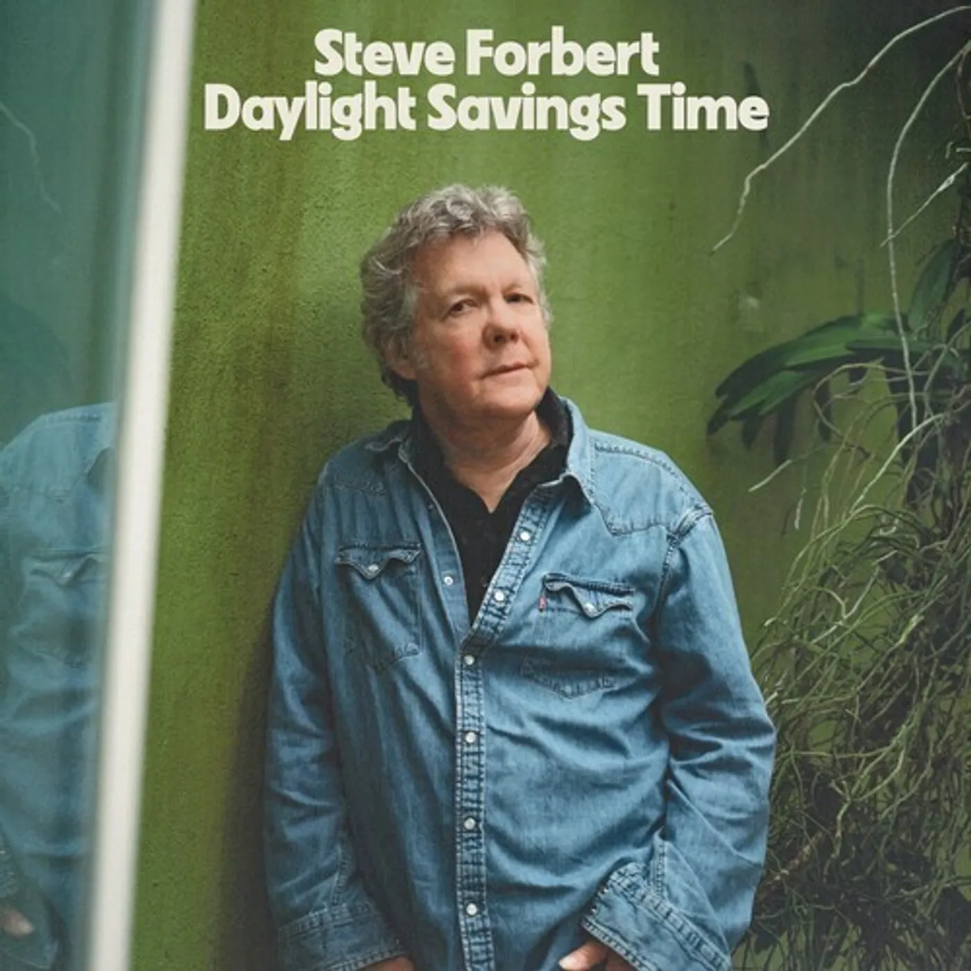 Steve Forbert DAYLIGHT SAVINGS TIME CD