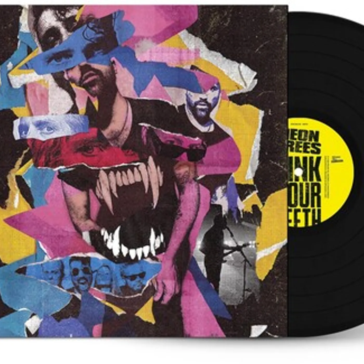 Neon Trees Sink Your Teeth Vinyl Record