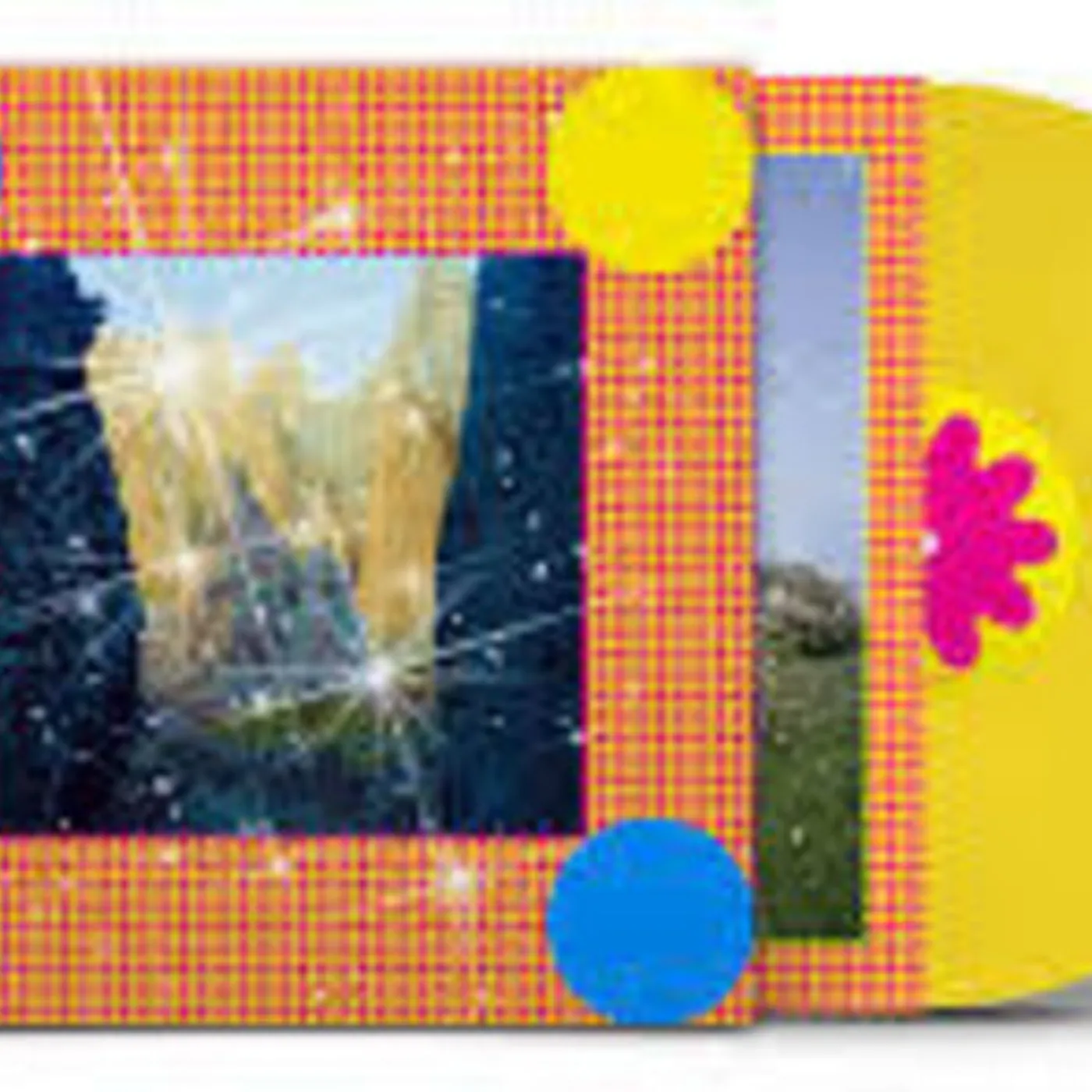 Caribou HONEY Vinyl Record