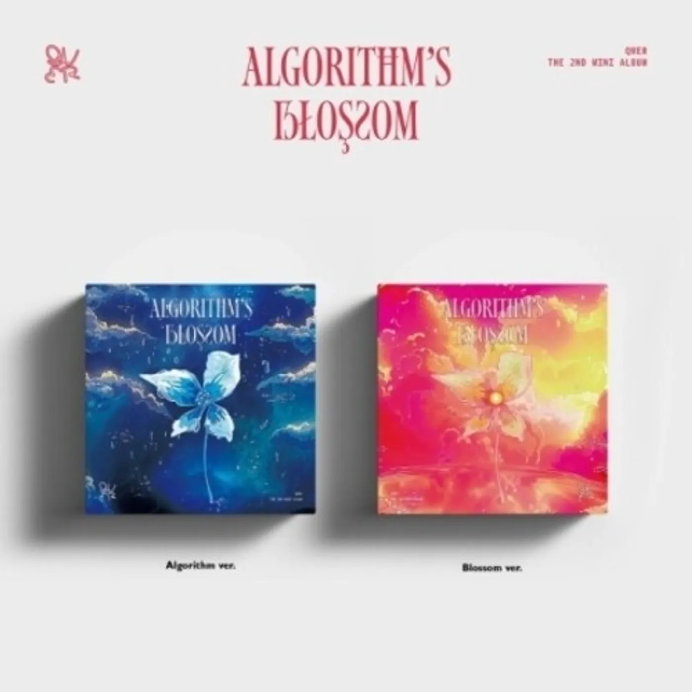QWER ALGORITHM'S BLOSSOM CD