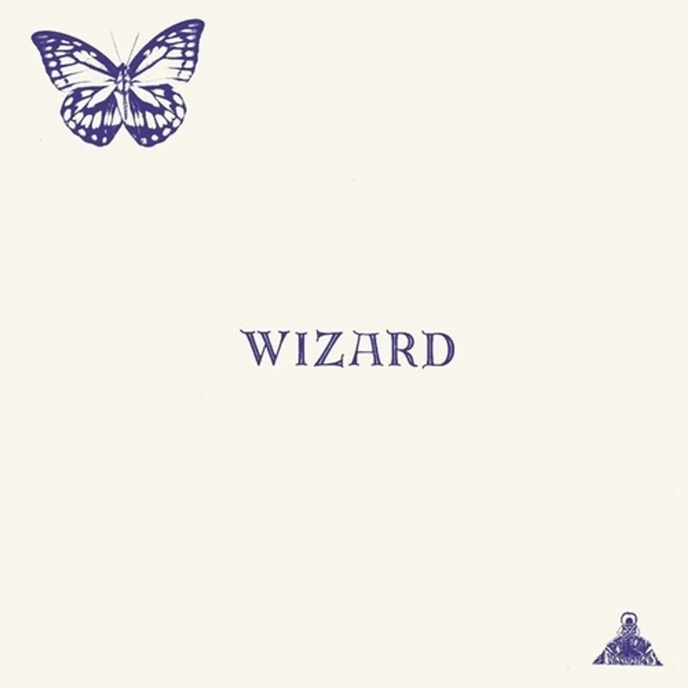 Wizard Vinyl Record