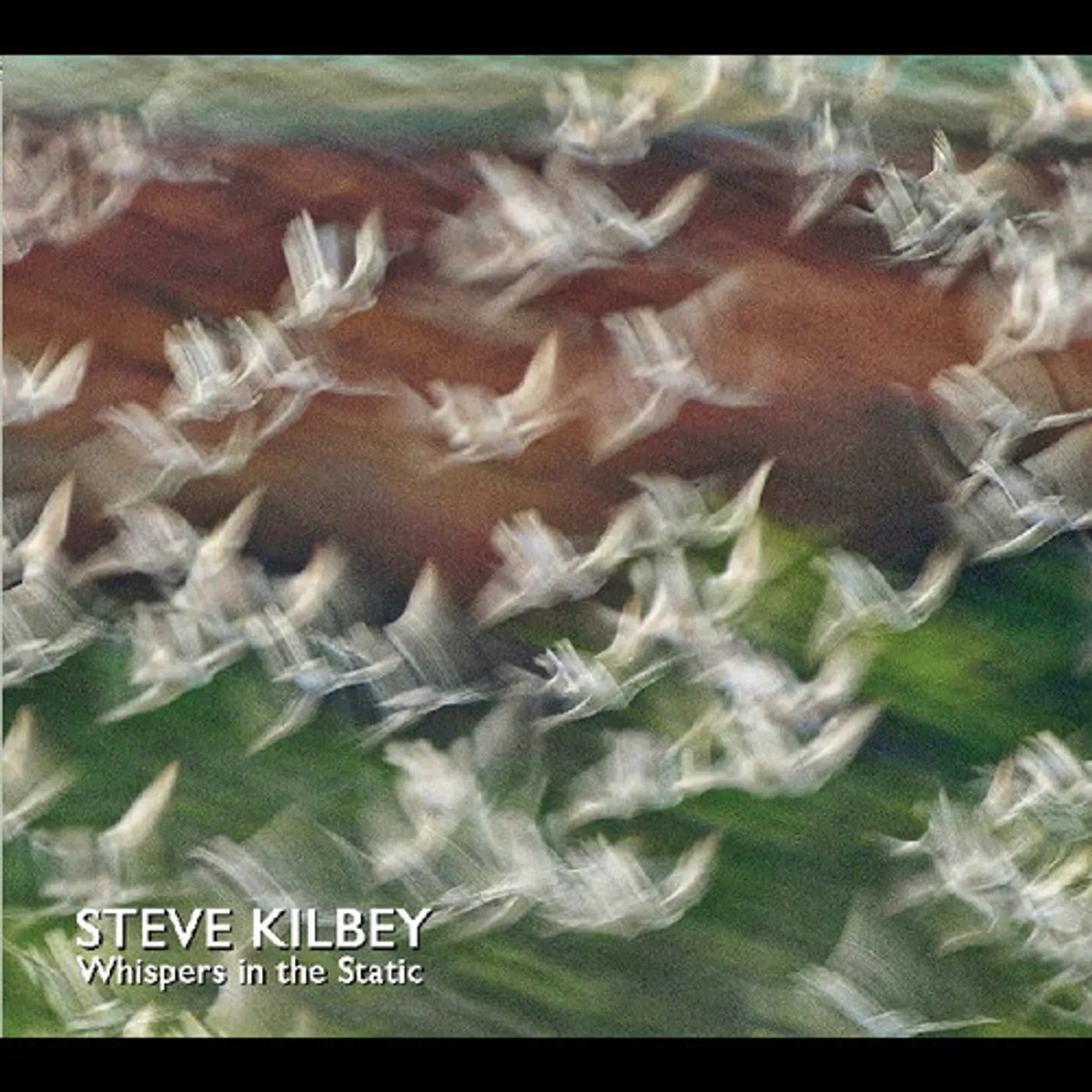 Steve Kilbey WHISPERS IN THE STATIC CD