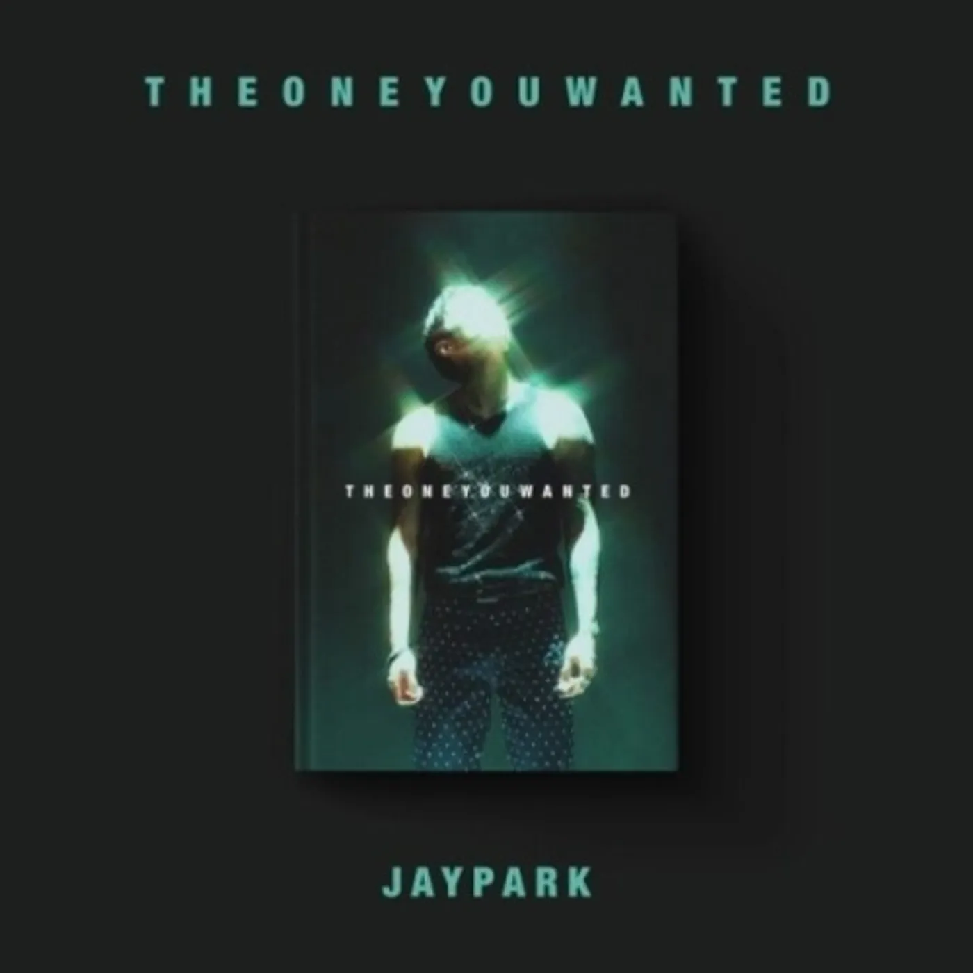 ONE YOU WANTED - JAY PARK VERSION CD