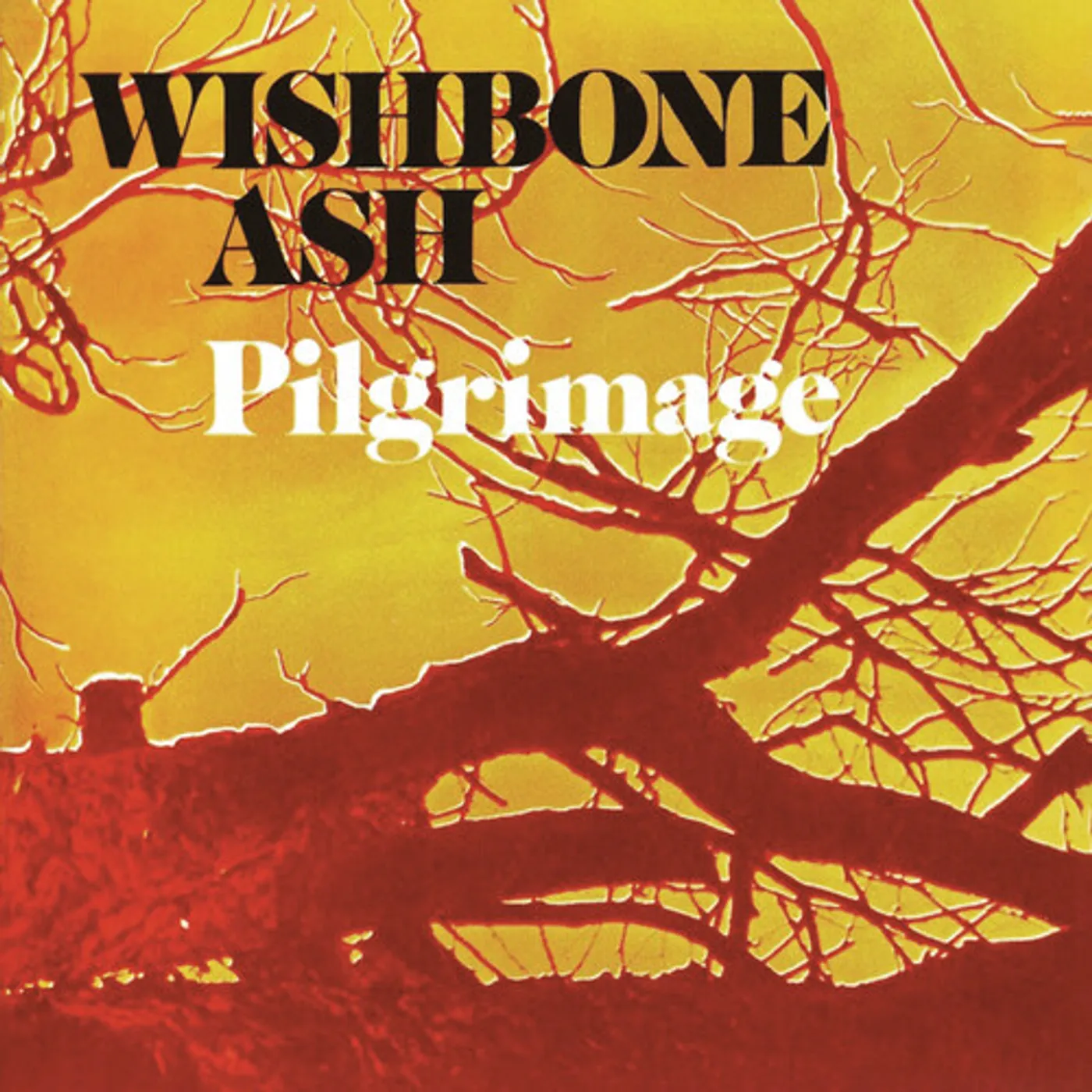 Wishbone Ash PILGRIMAGE CD