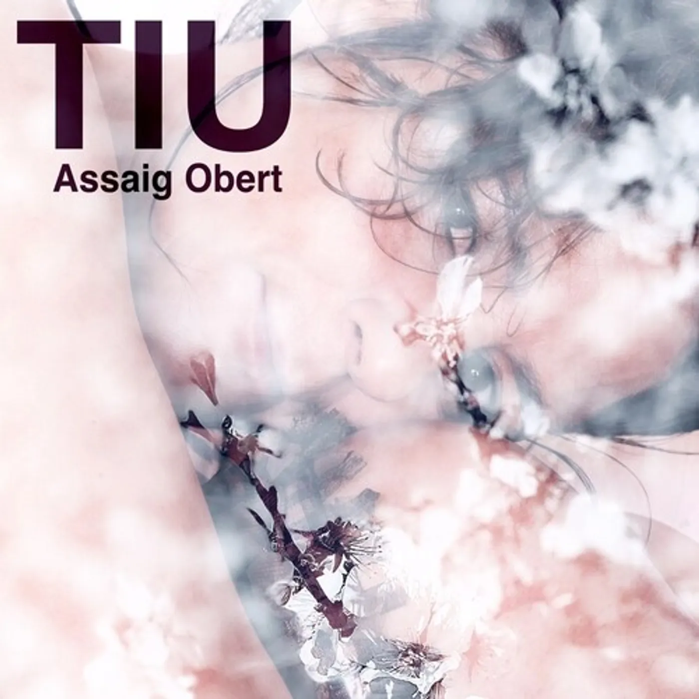 Tiu ASSAIG OBERT Vinyl Record