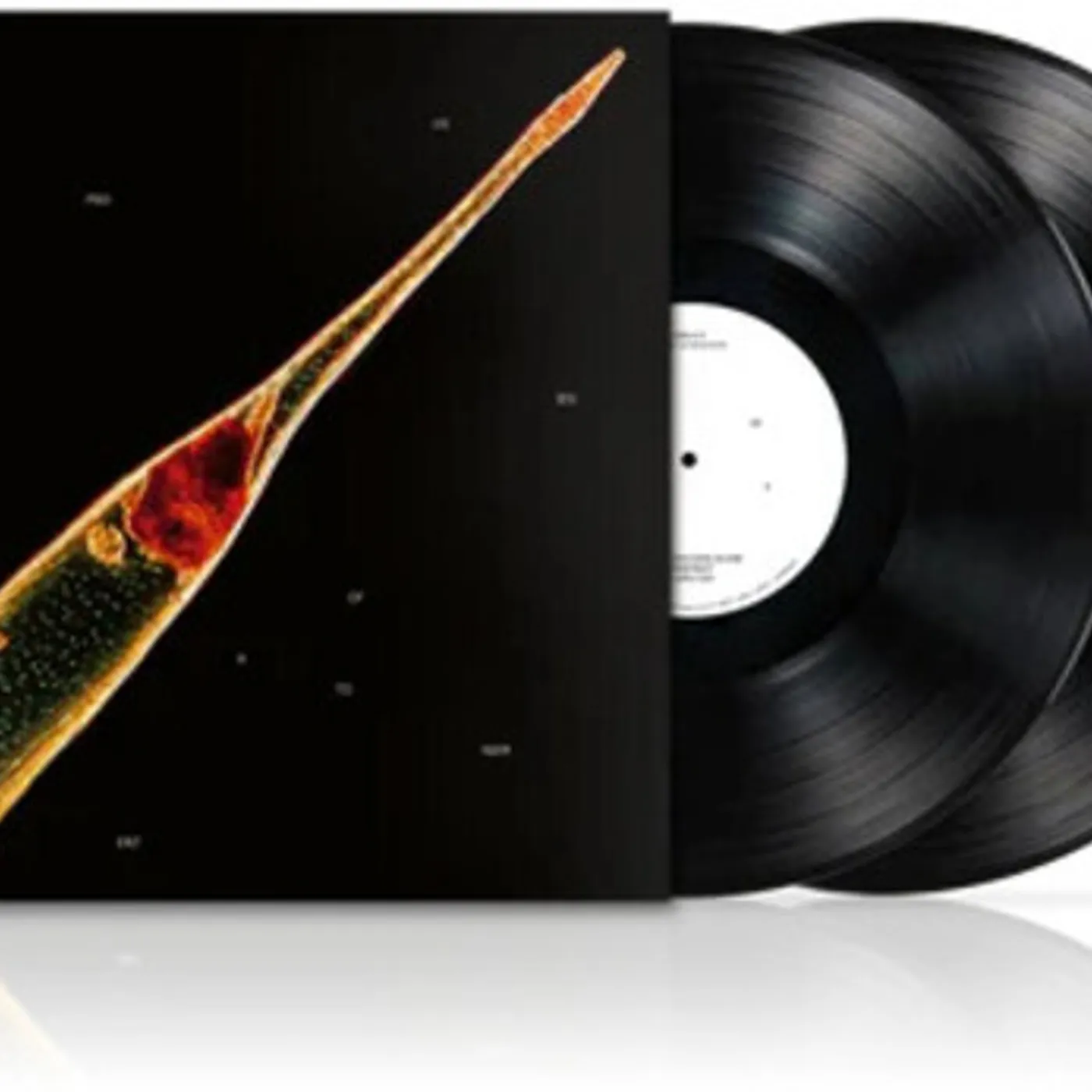 Leprous MELODIES OF ATONEMENT Vinyl Record