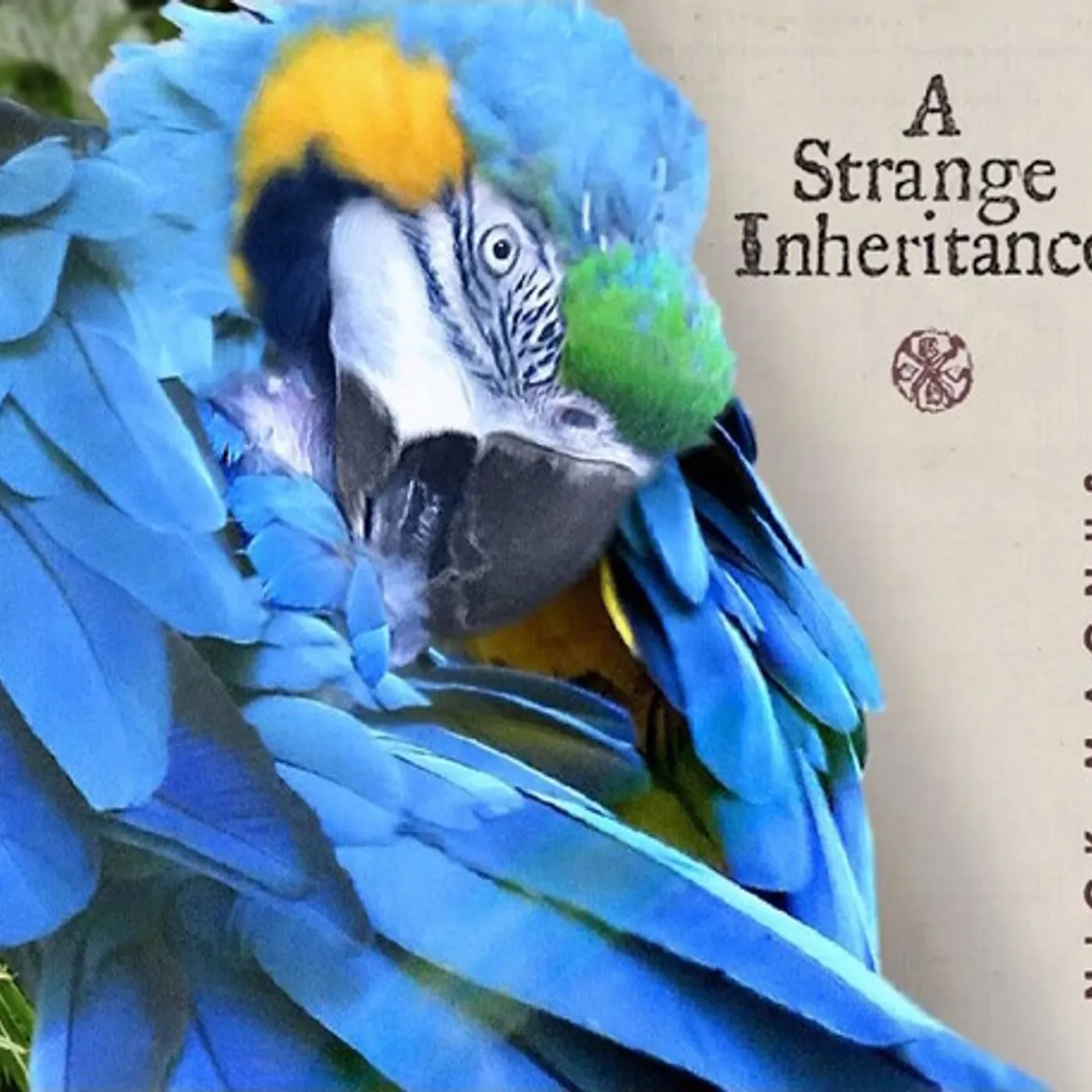 Nick Magnus STRANGE INHERITANCE CD