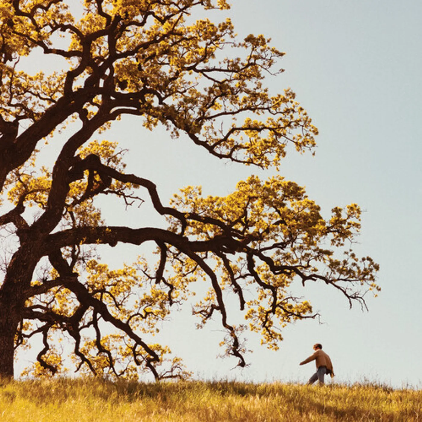 Joshua Bassett GOLDEN YEARS CD