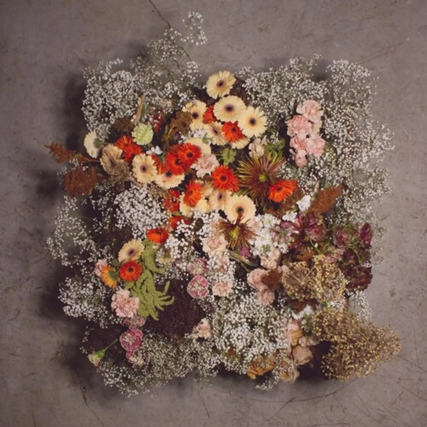 We Are The Willows IV Vinyl Record