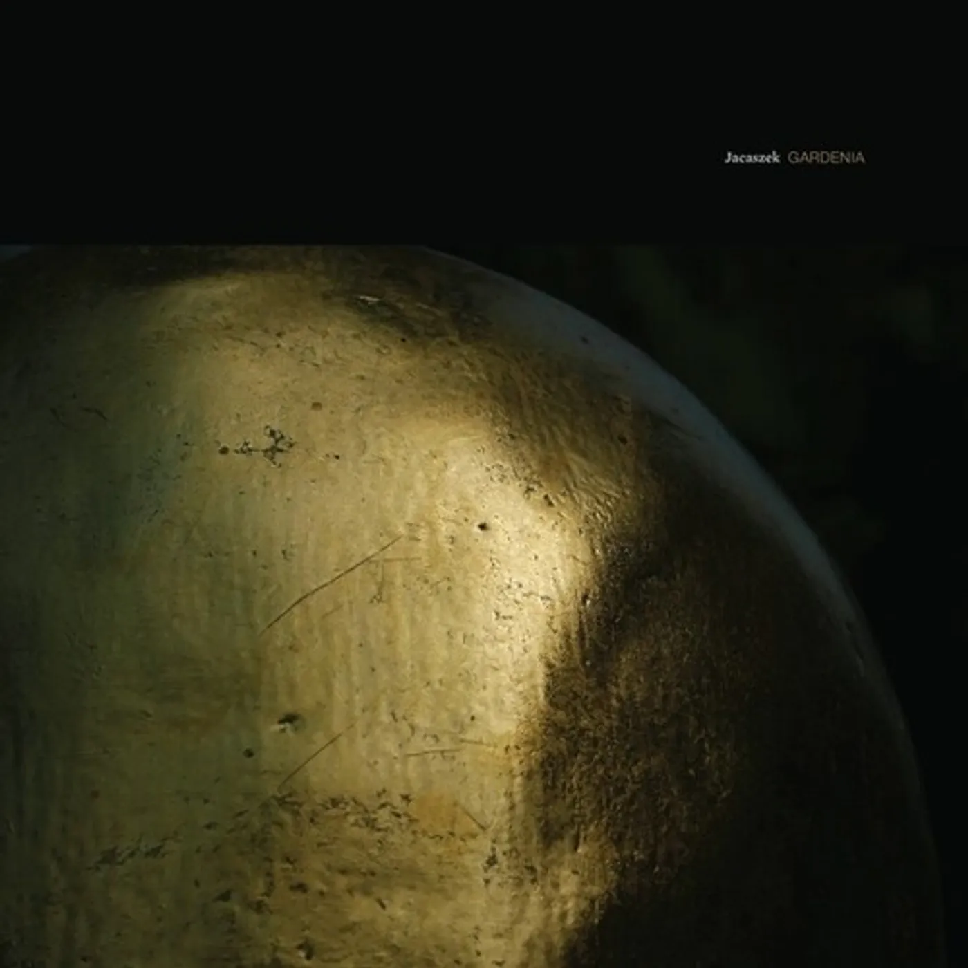 Jacaszek Gardenia Vinyl Record