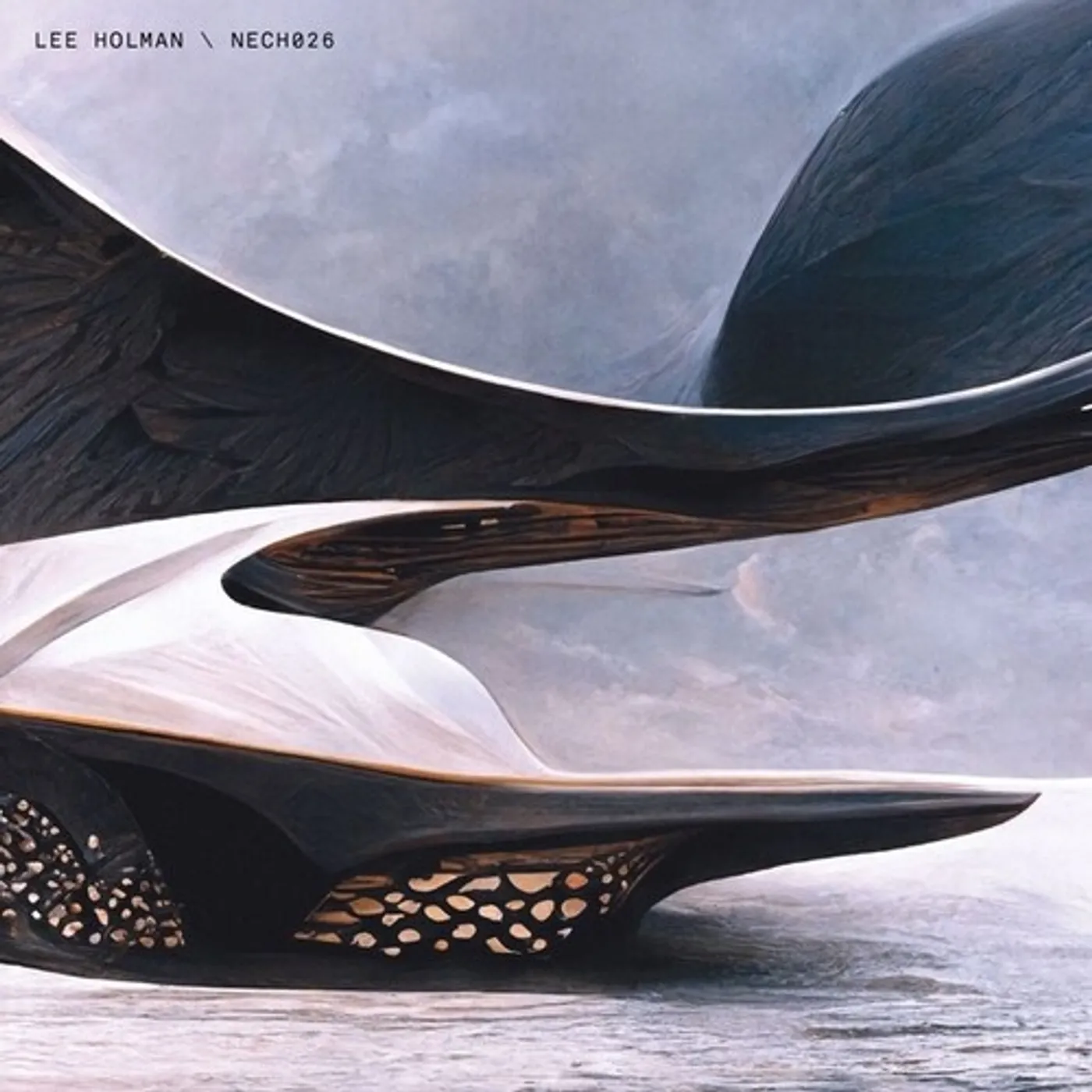 Lee Holman DIALING THOUGHTS Vinyl Record