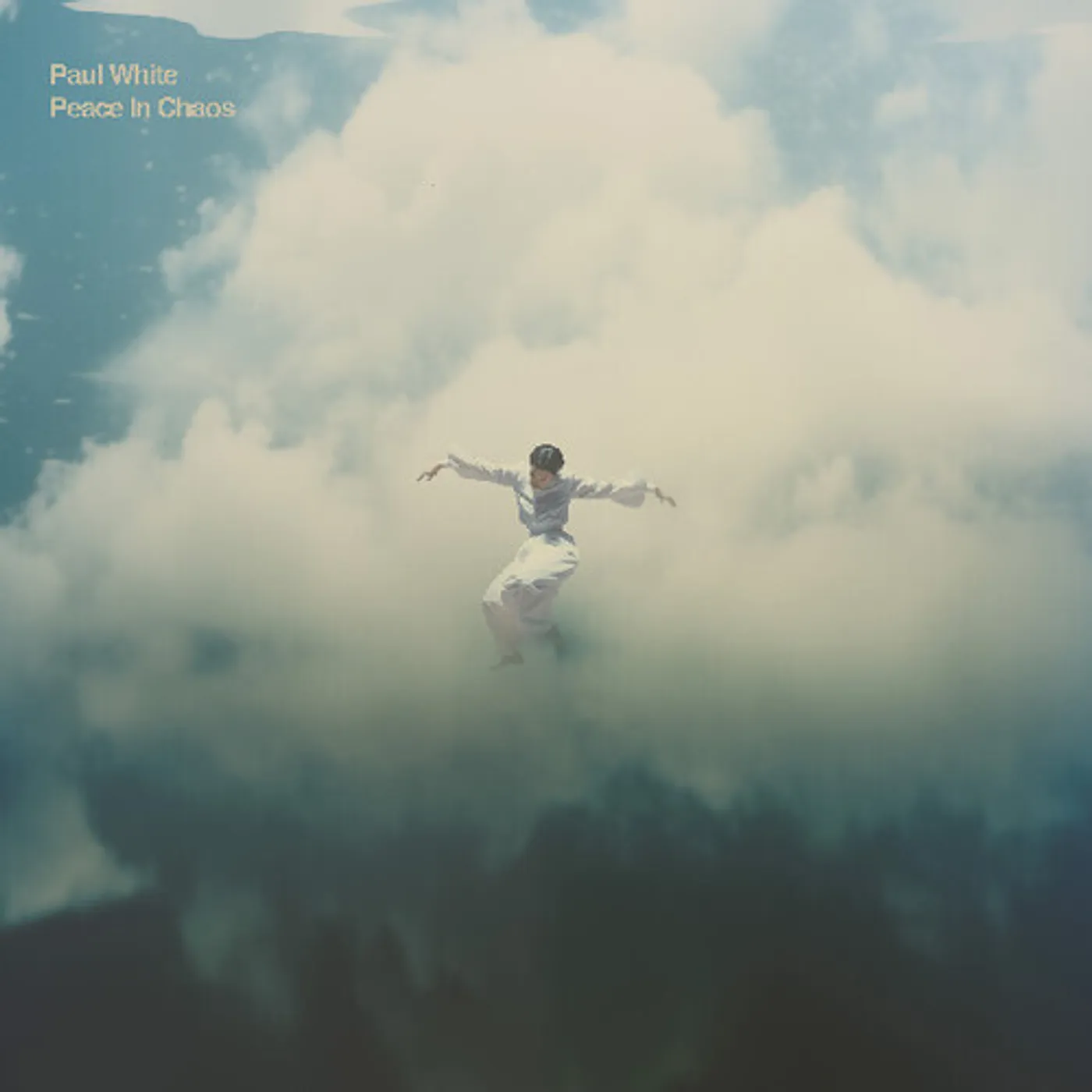 Paul White PEACE IN CHAOS Vinyl Record