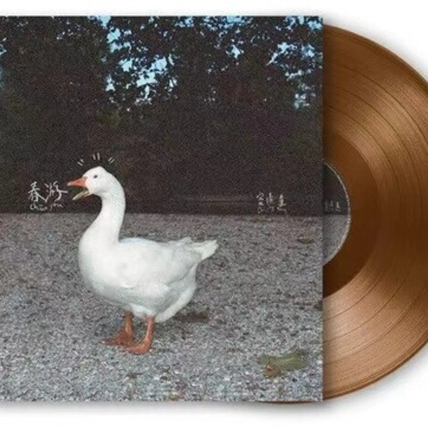 Leah Dou SPRING TOUR - LIMITED EDITION Vinyl Record