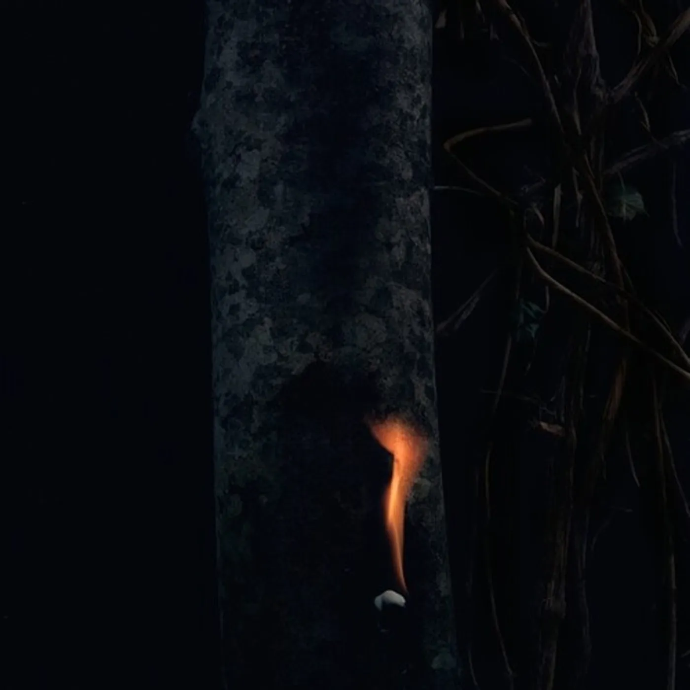 Bzdb JUMP SHIP & SIT LEAN & BE STILL & STAND TALL Vinyl Record