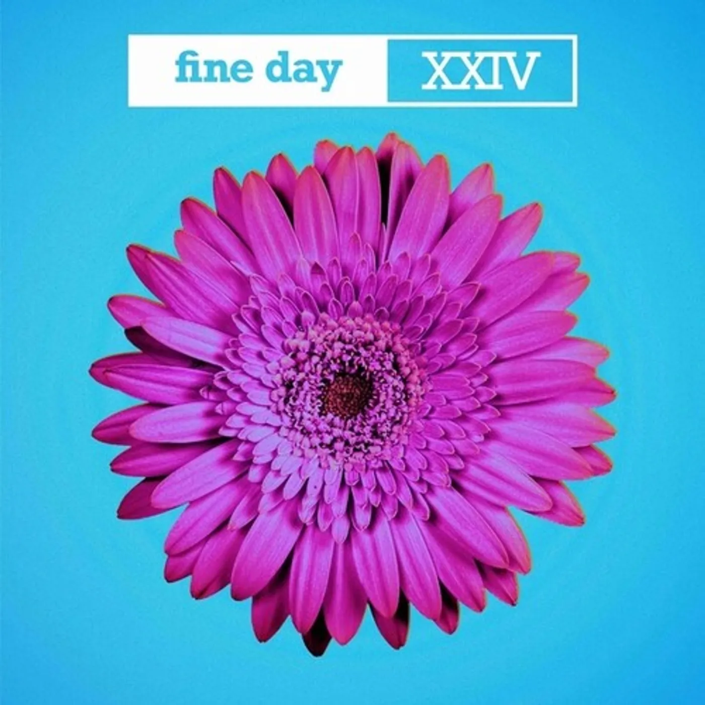 Opus III FINE DAY XXIV Vinyl Record